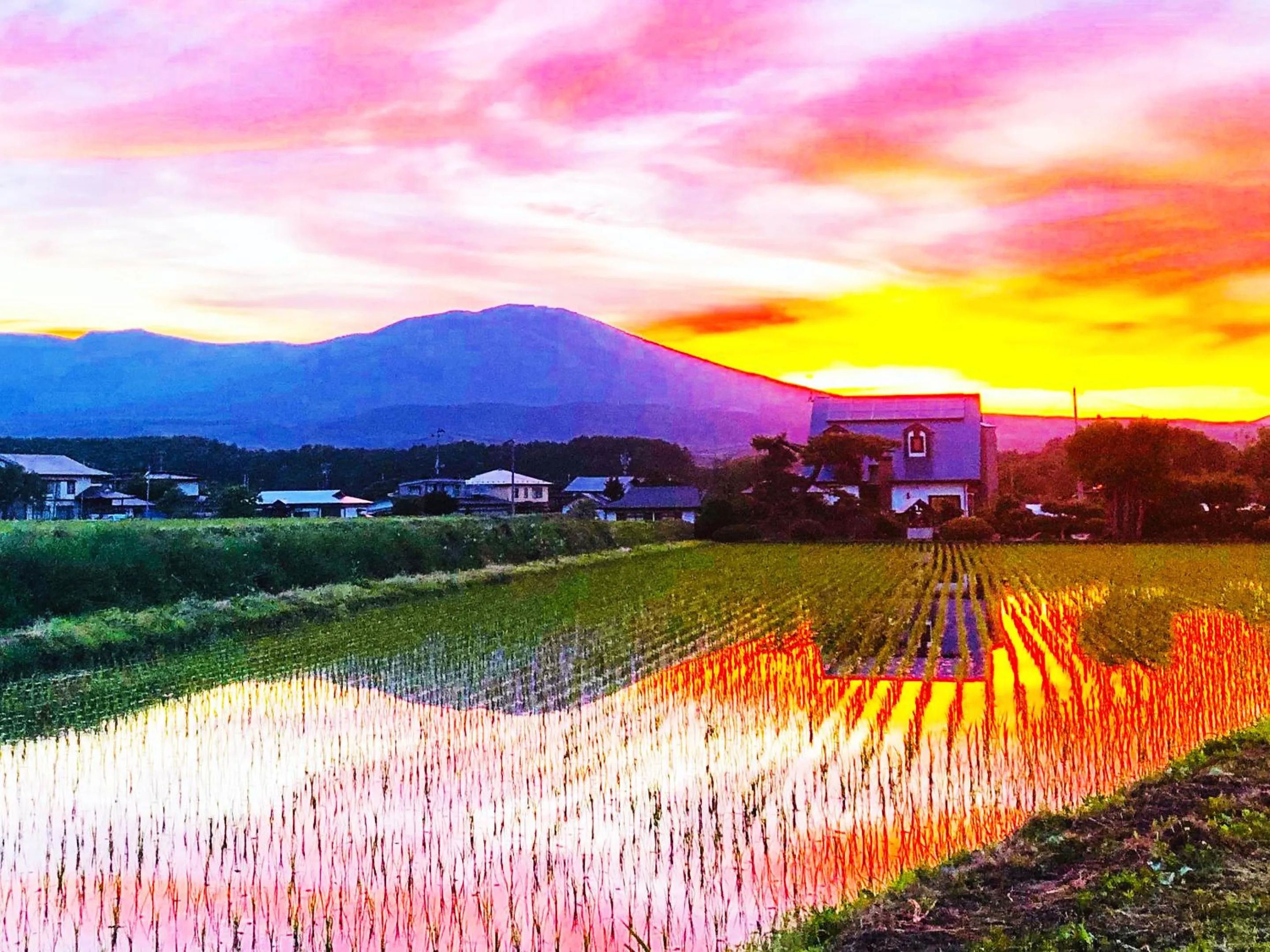 Other in Appi Arts Color