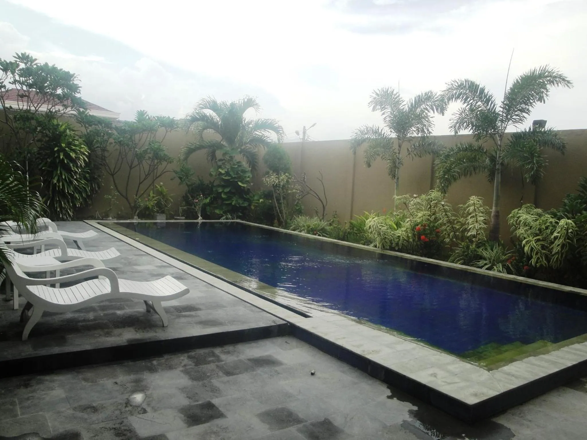 Swimming pool in Jazz Hotel Palu