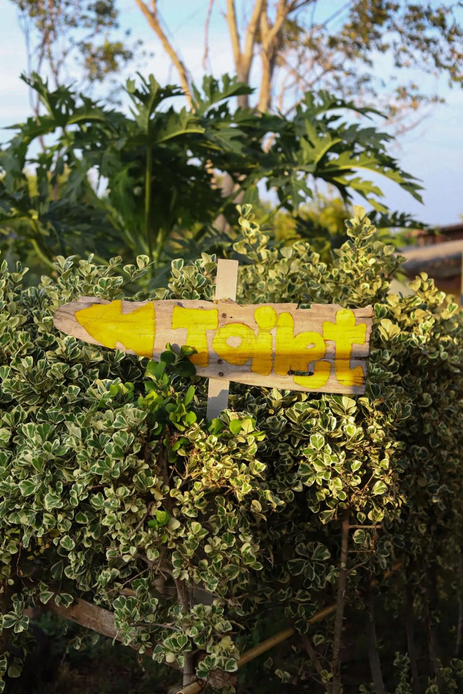 Parinya Hill Homestay & Cafe Koh Larn