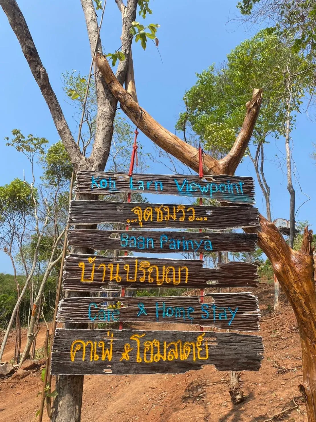 Natural landscape in Parinya Hill Homestay & Cafe Koh Larn