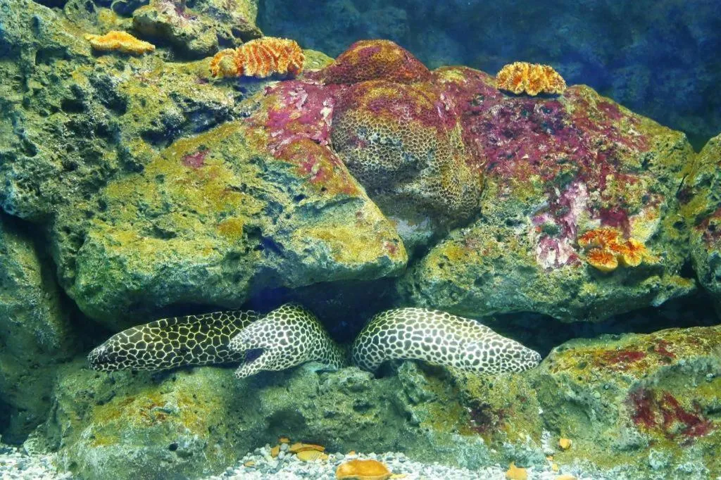 RungRoj Panich Hotel