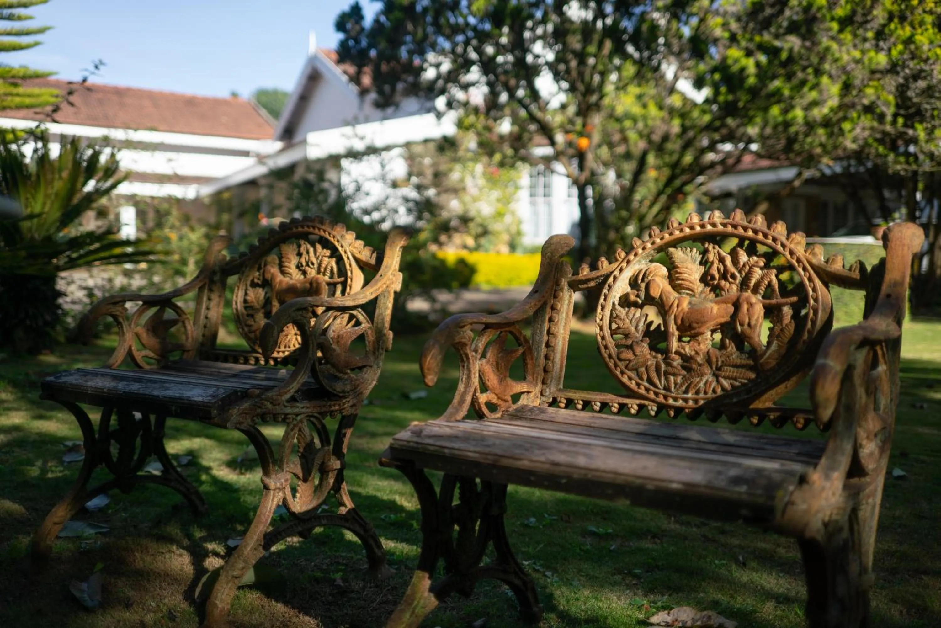 Garden in Marlihill Bungalow - A CGH Earth SAHA Experience