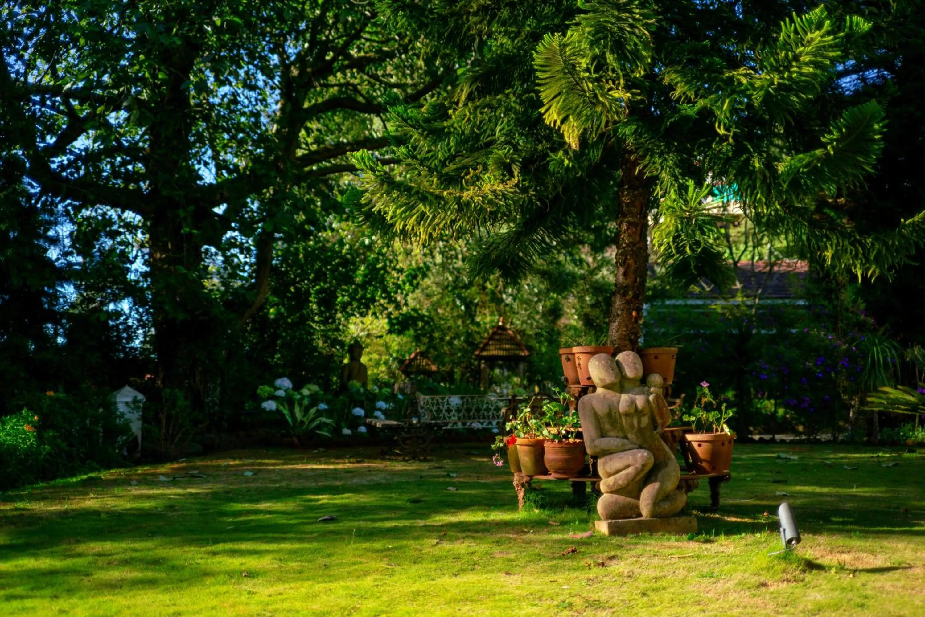 Garden in Marlihill Bungalow - A CGH Earth SAHA Experience