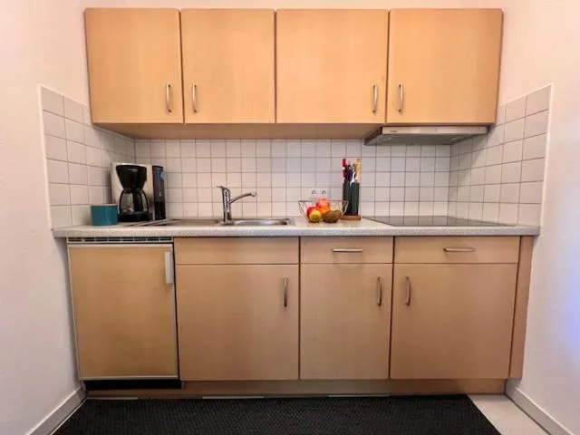 Kitchen or kitchenette in Ferienwohnung Hainzinger