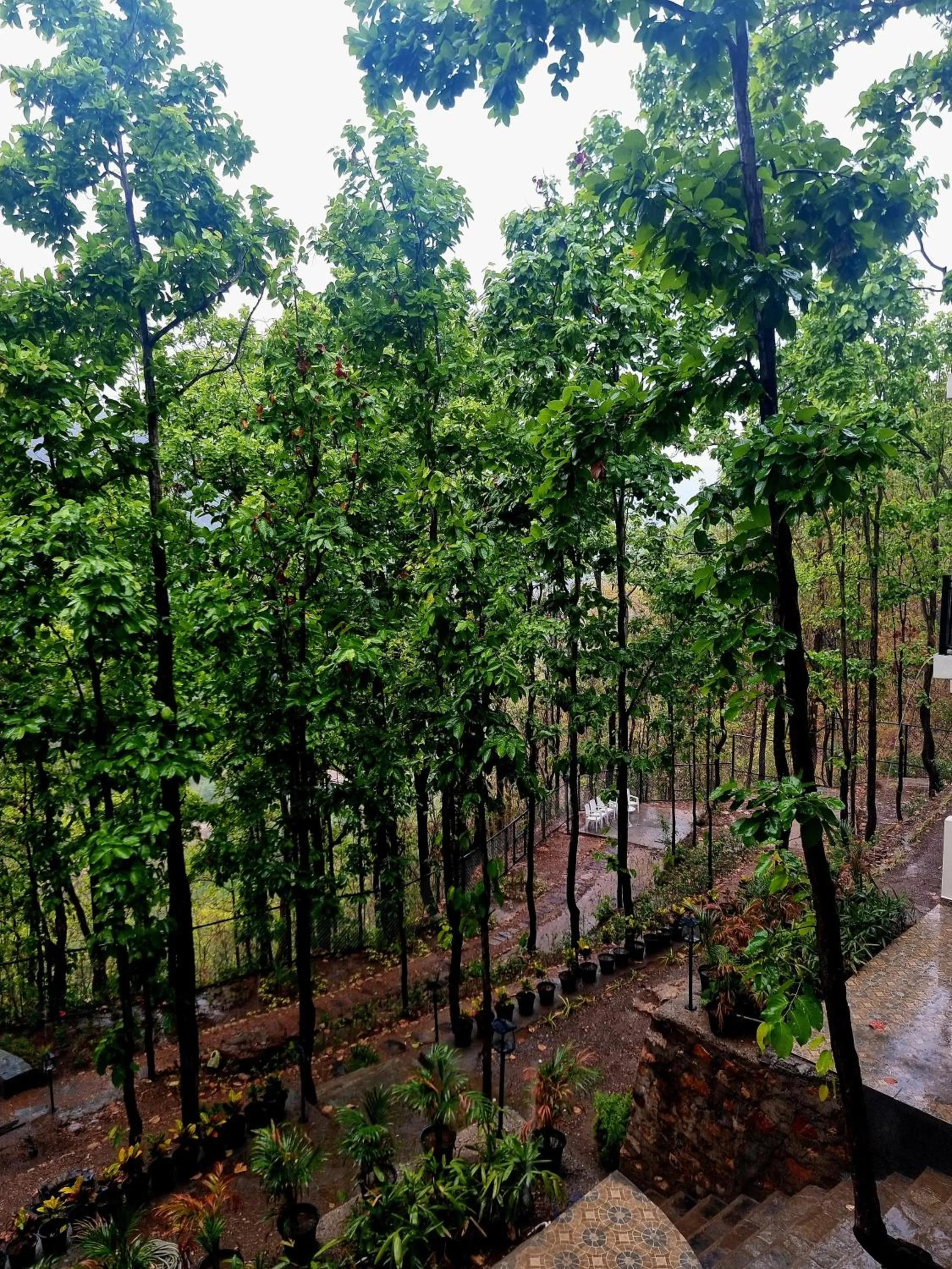 View (from property/room) in Marten's Wilderness Retreat