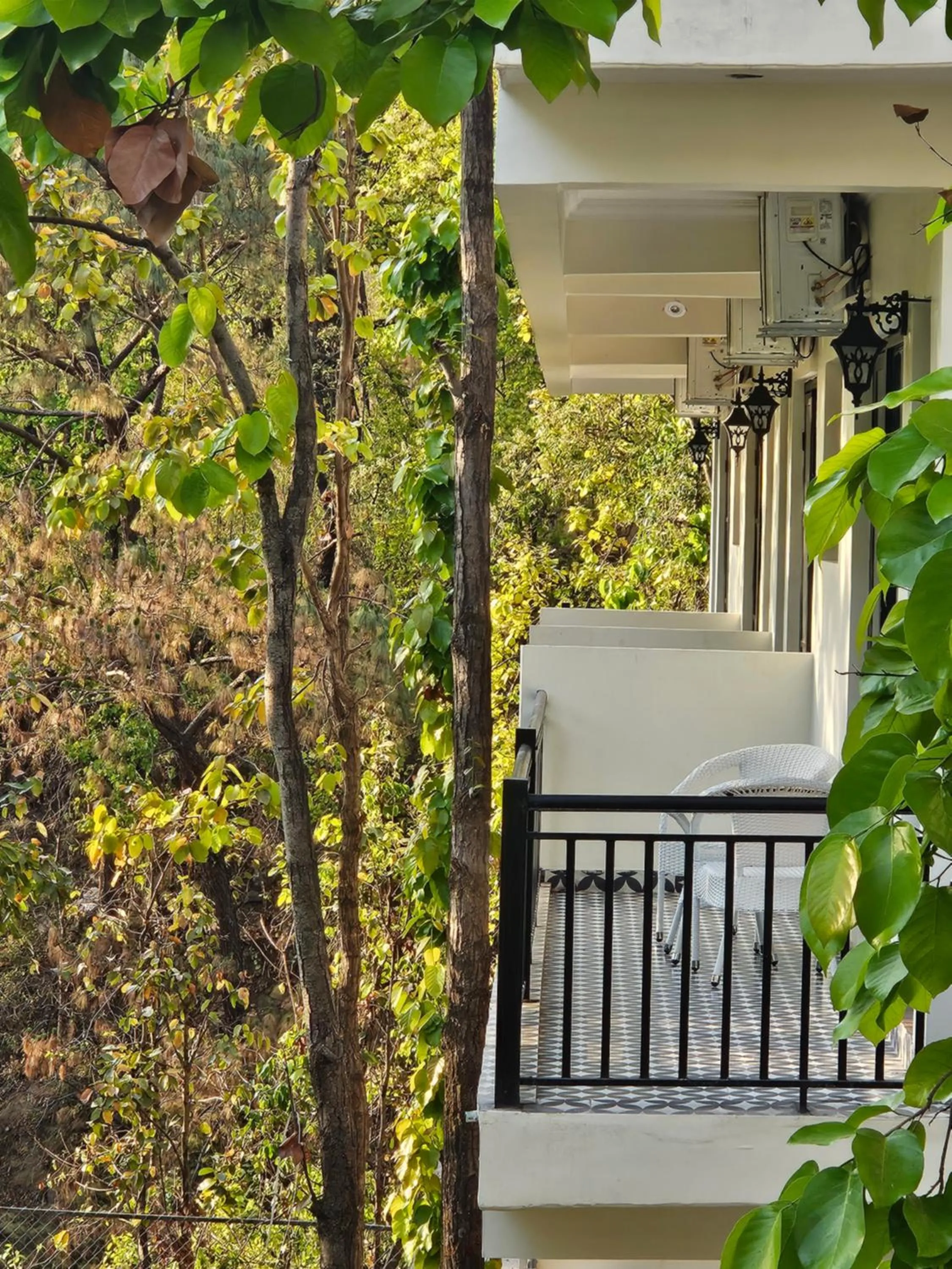 Property building in Marten's Wilderness Retreat