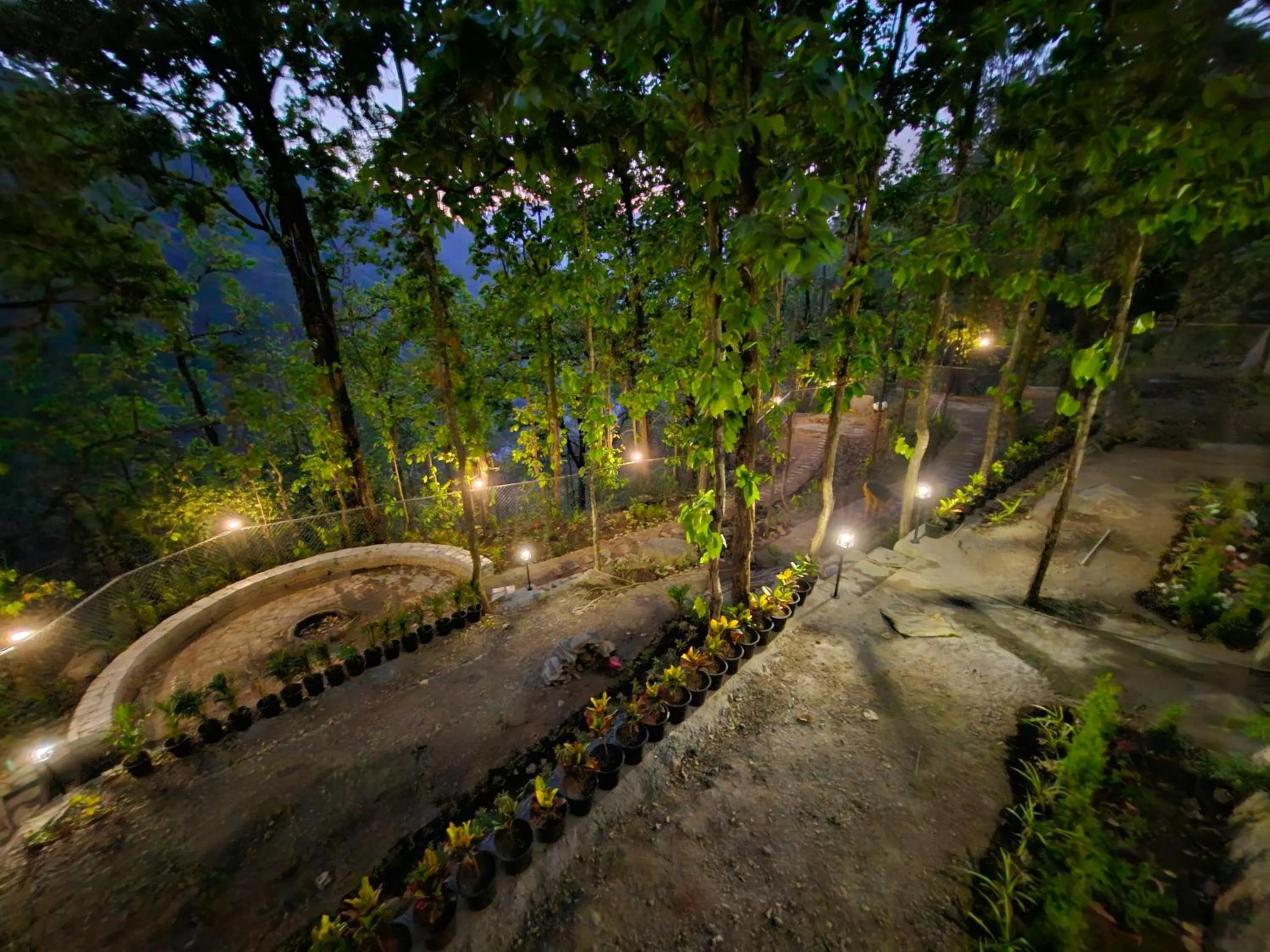 Night in Marten's Wilderness Retreat