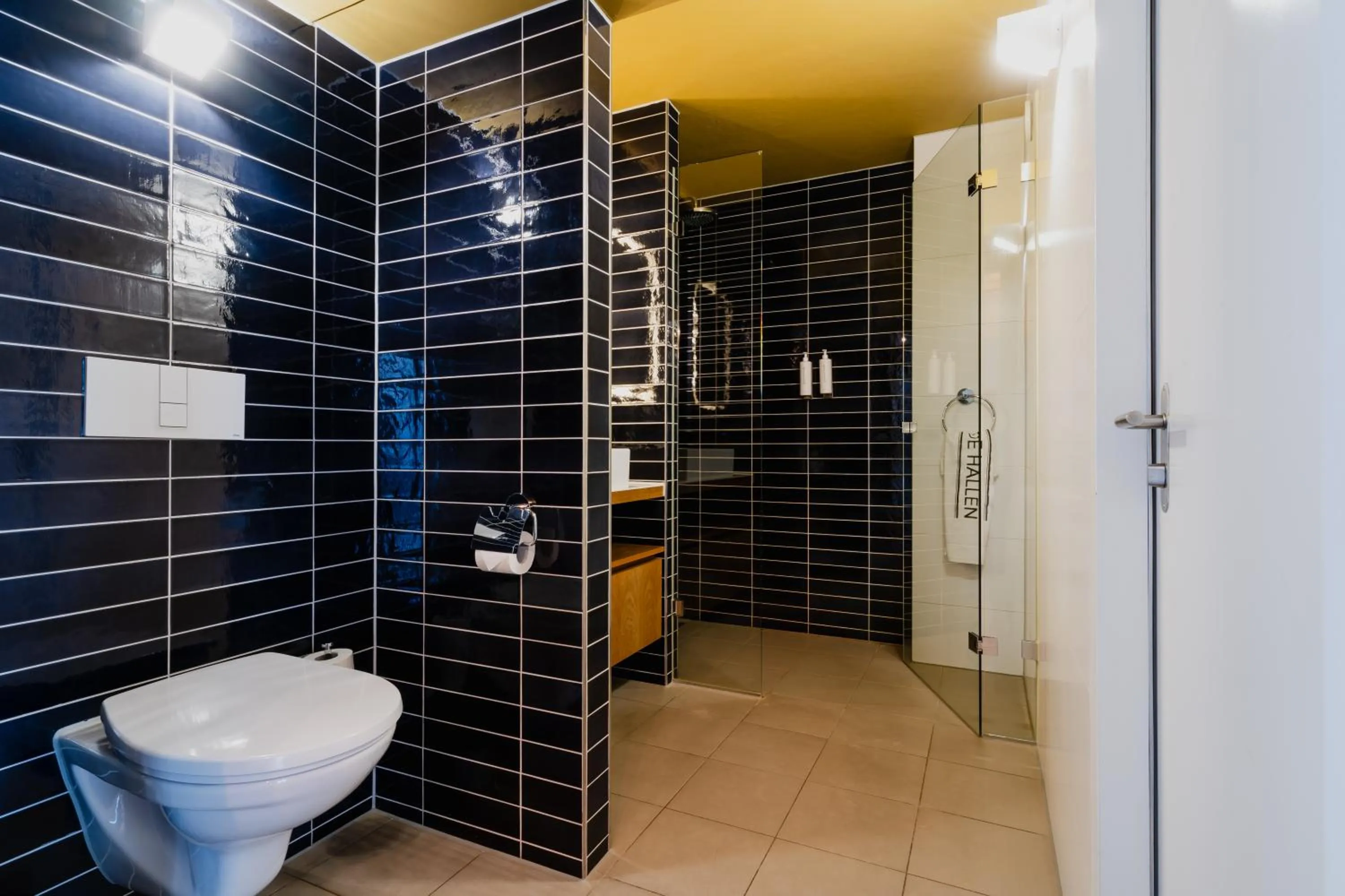 Shower in Apartments De Hallen