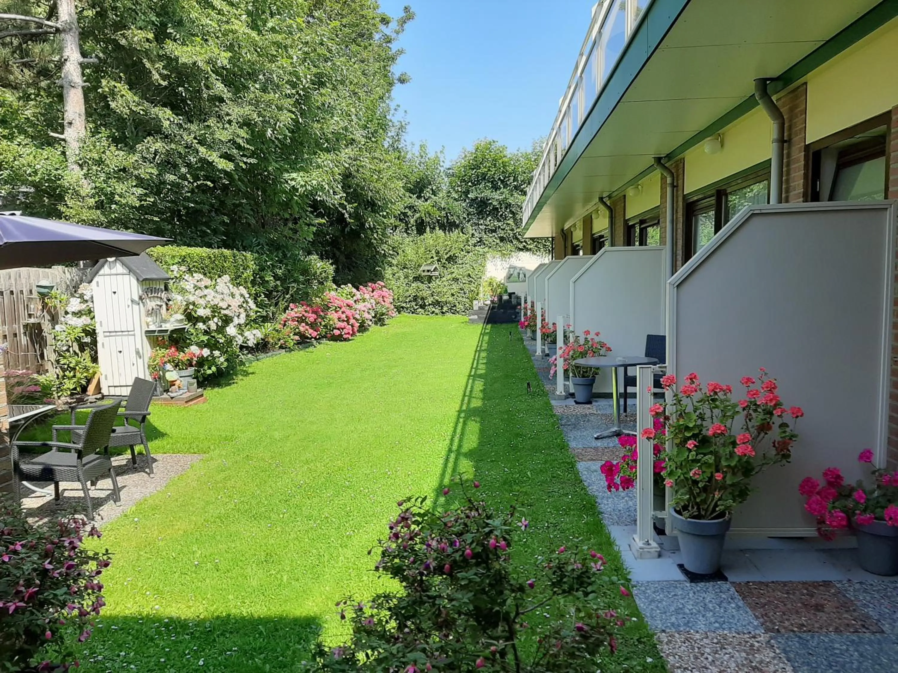 Summer in Hotel De Dennen