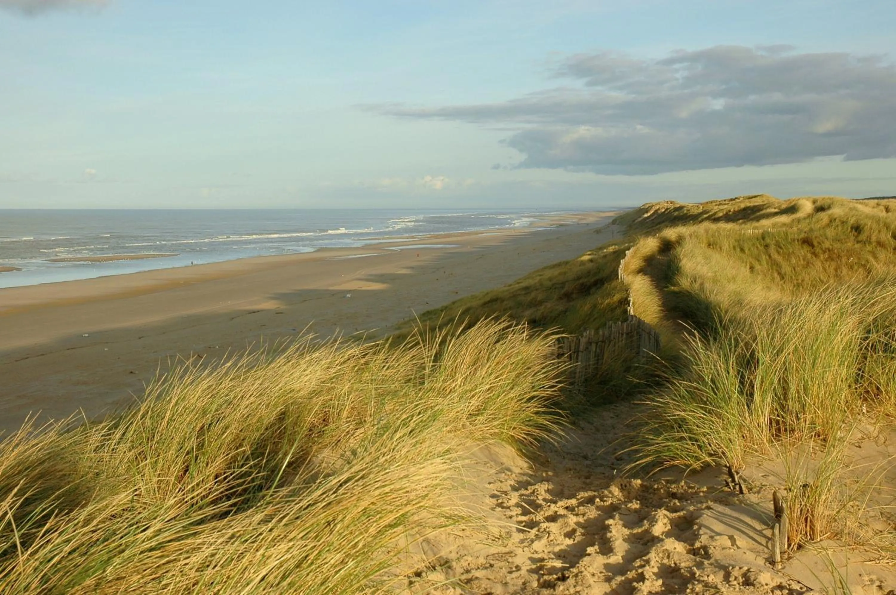 Day in Hotel De Dennen