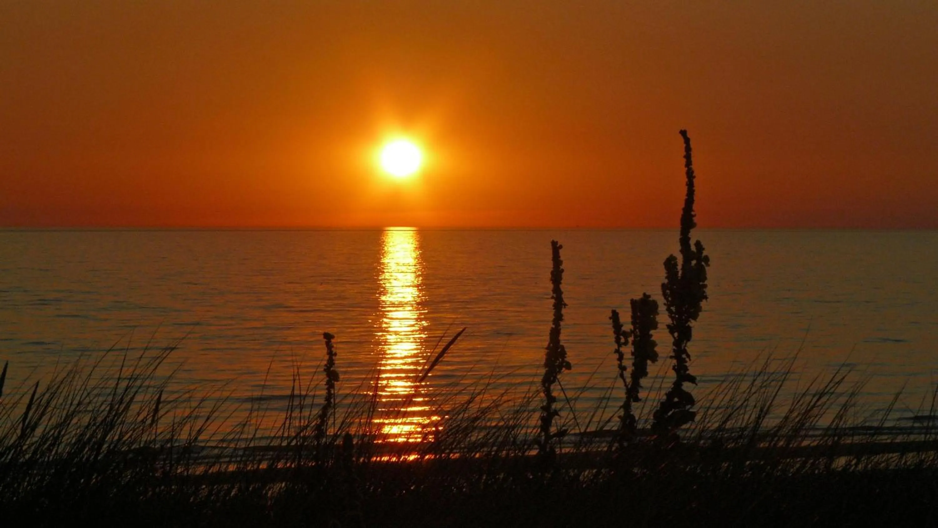 Beach in Hotel De Dennen