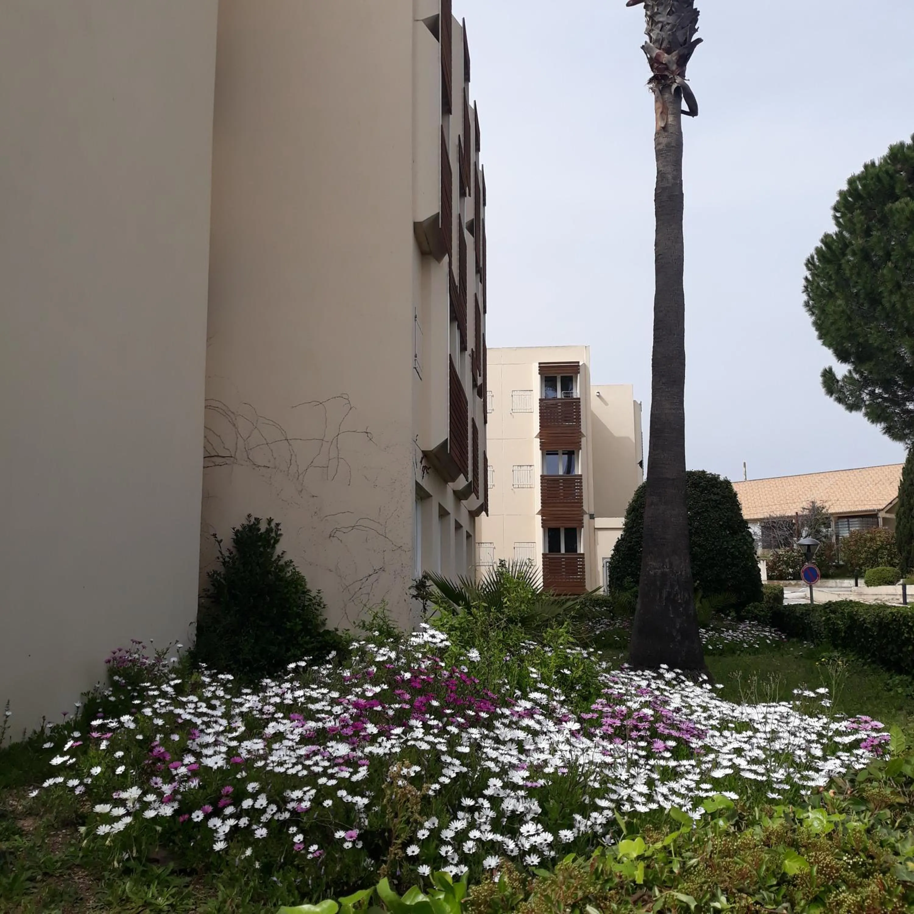 RESIDENCE L'ILE D'OR