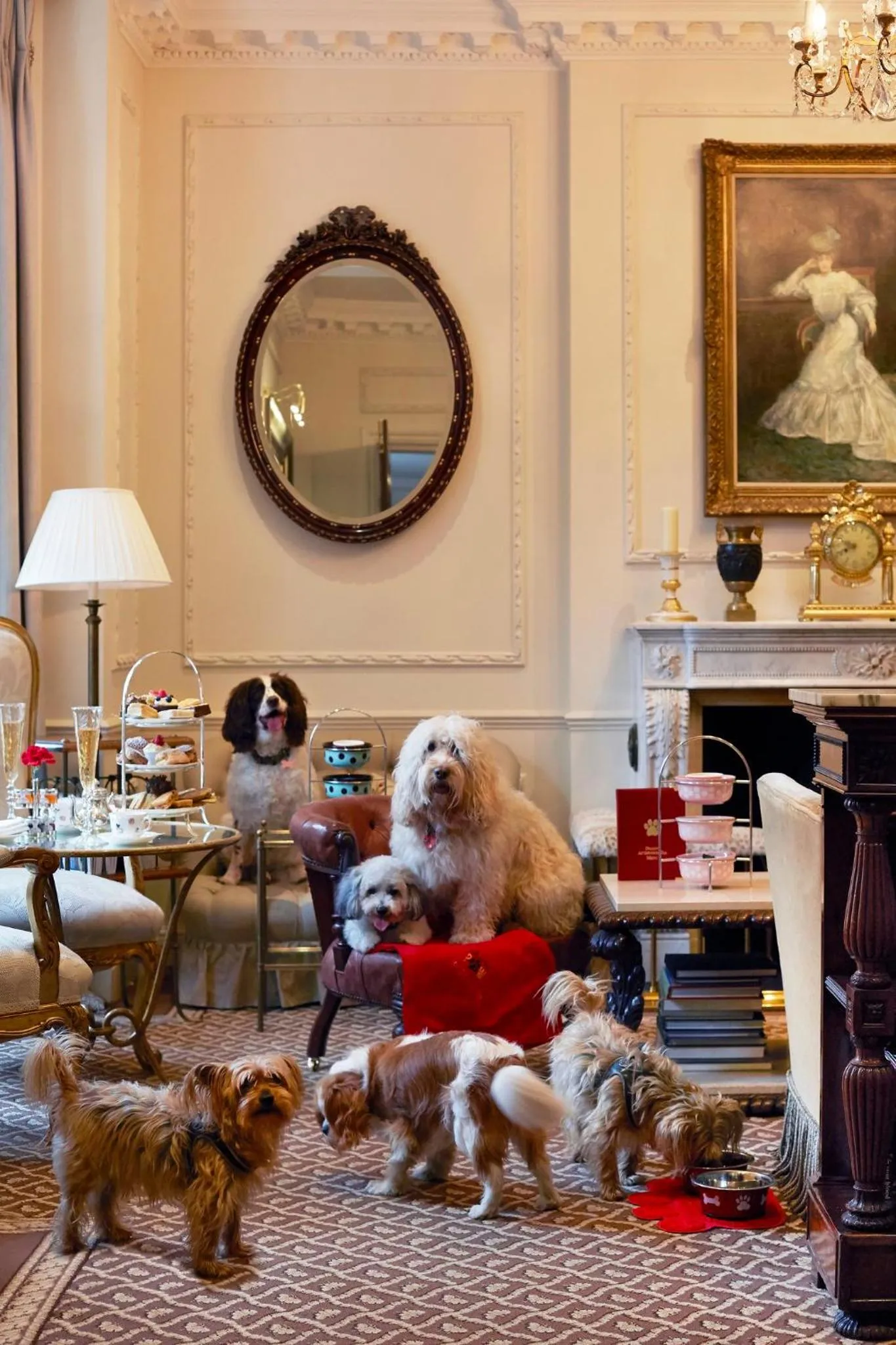 Pets in Egerton House