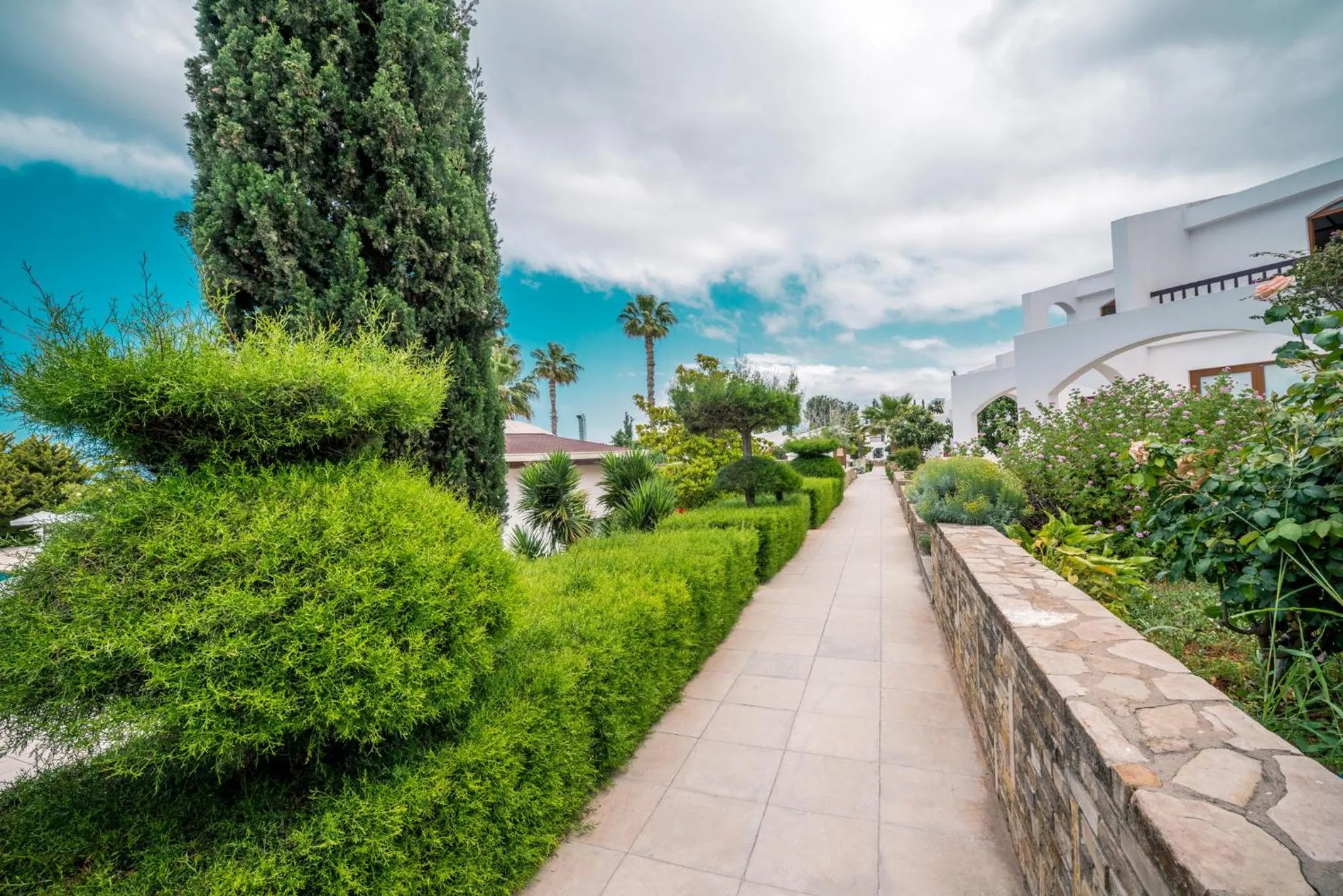 Garden in The Olive Tree Hotel