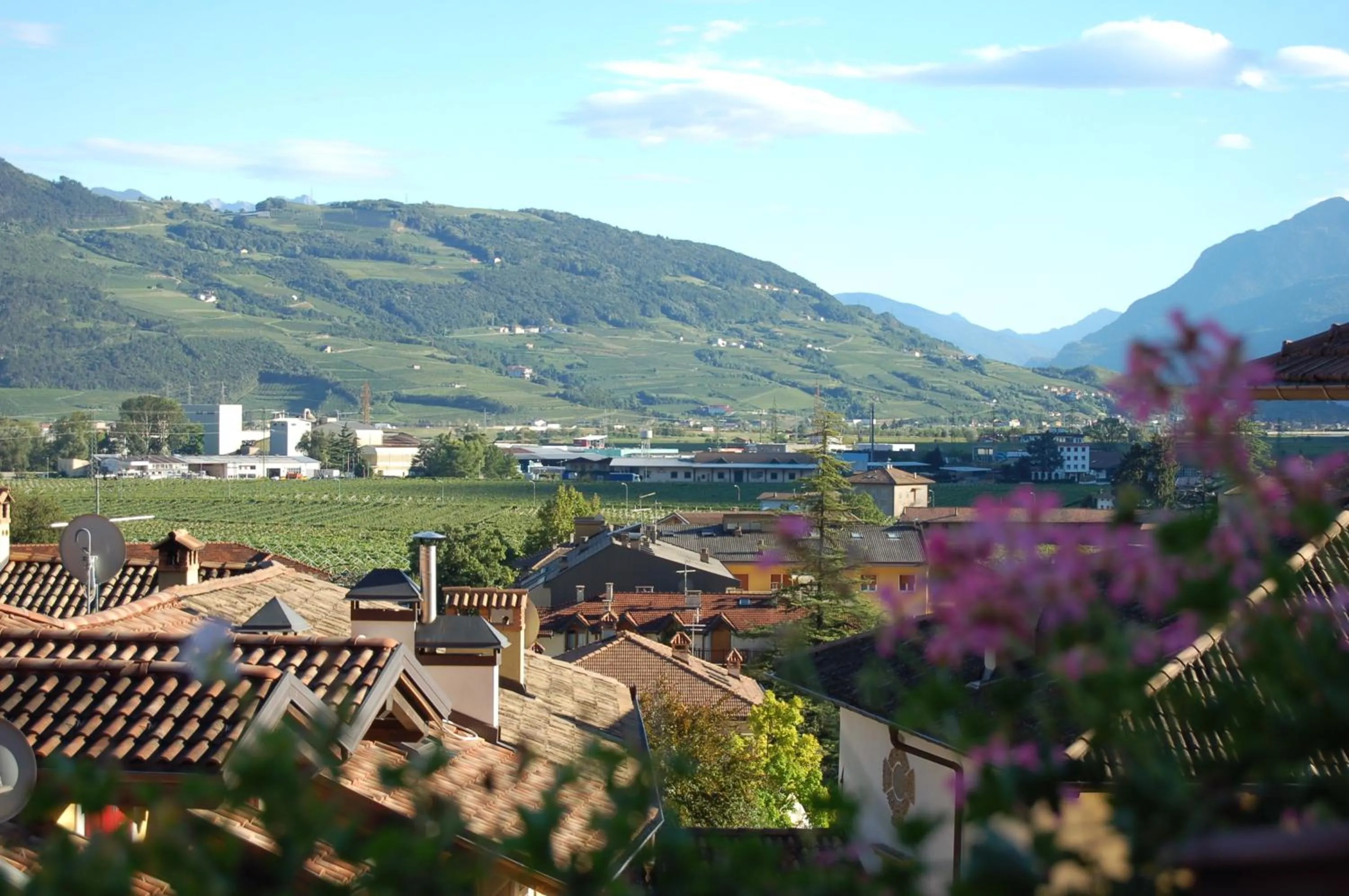 Mountain view in B&B Pedelmont