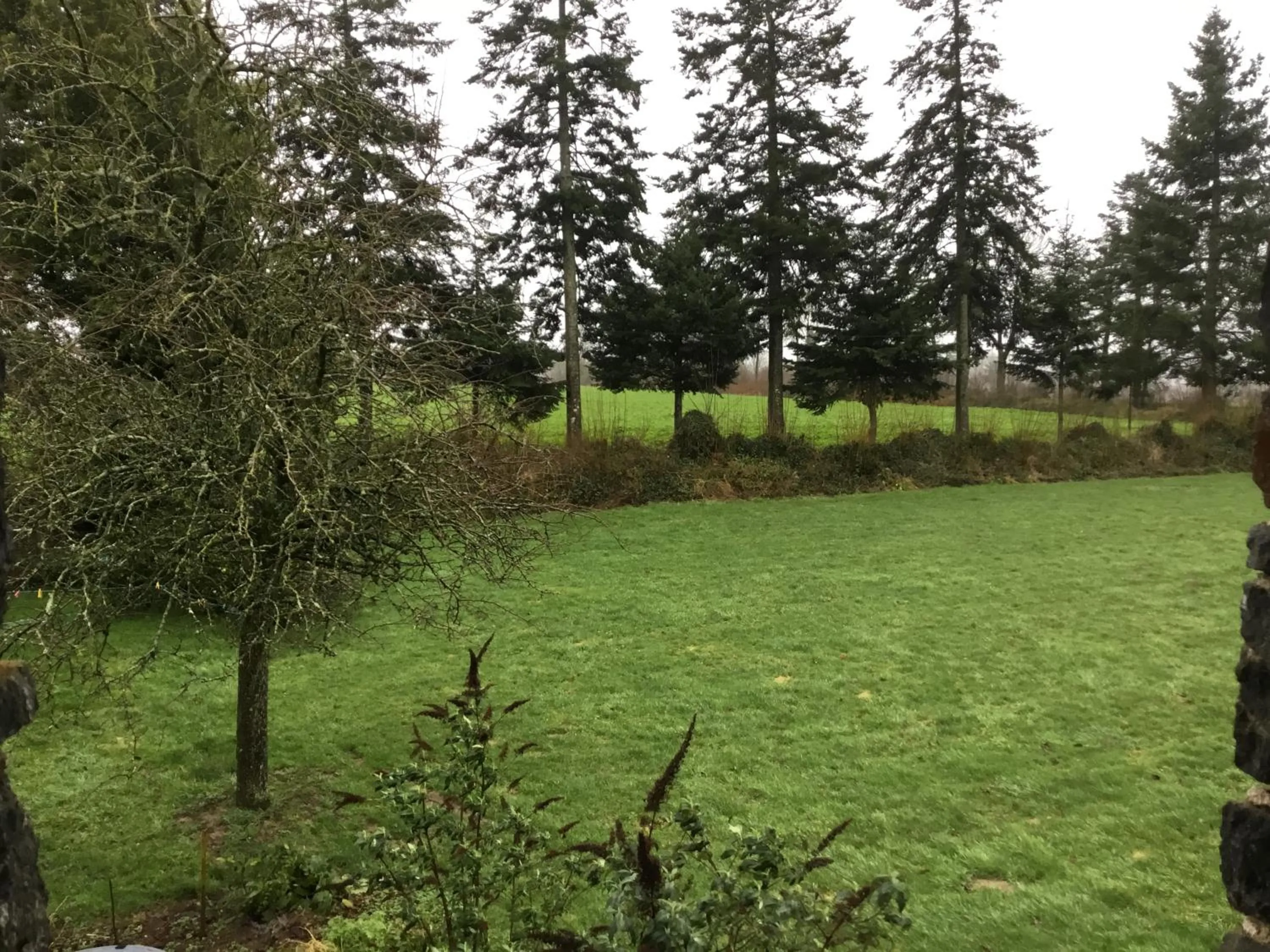 Garden view in The Magnolias B&B