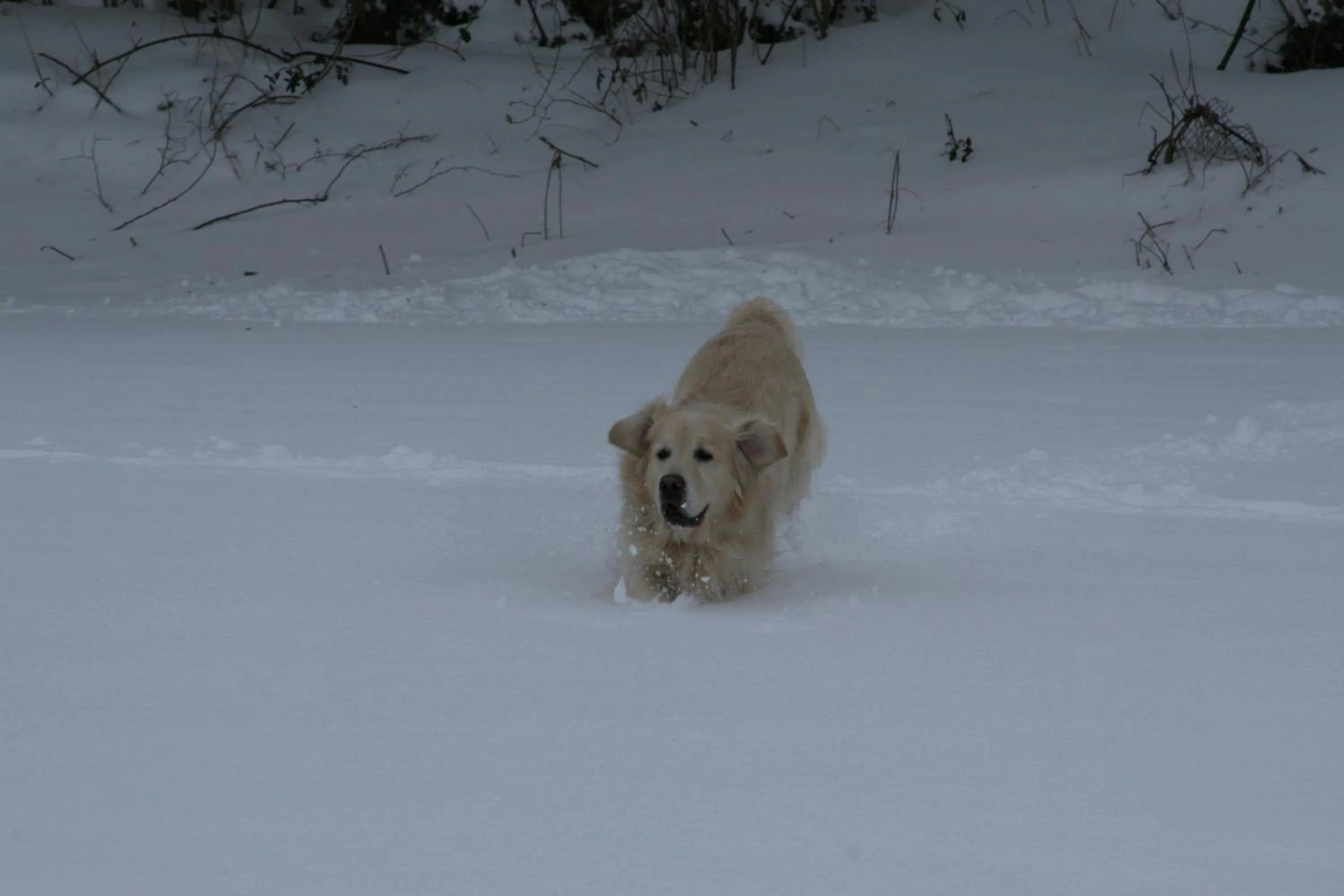 Facade/entrance in The Magnolias B&B