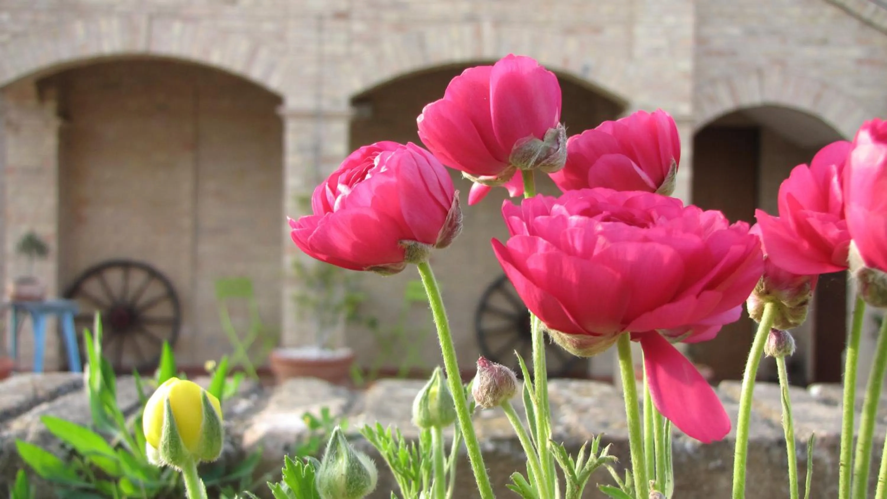 Bed and breakfast Aratro & Rosmarino