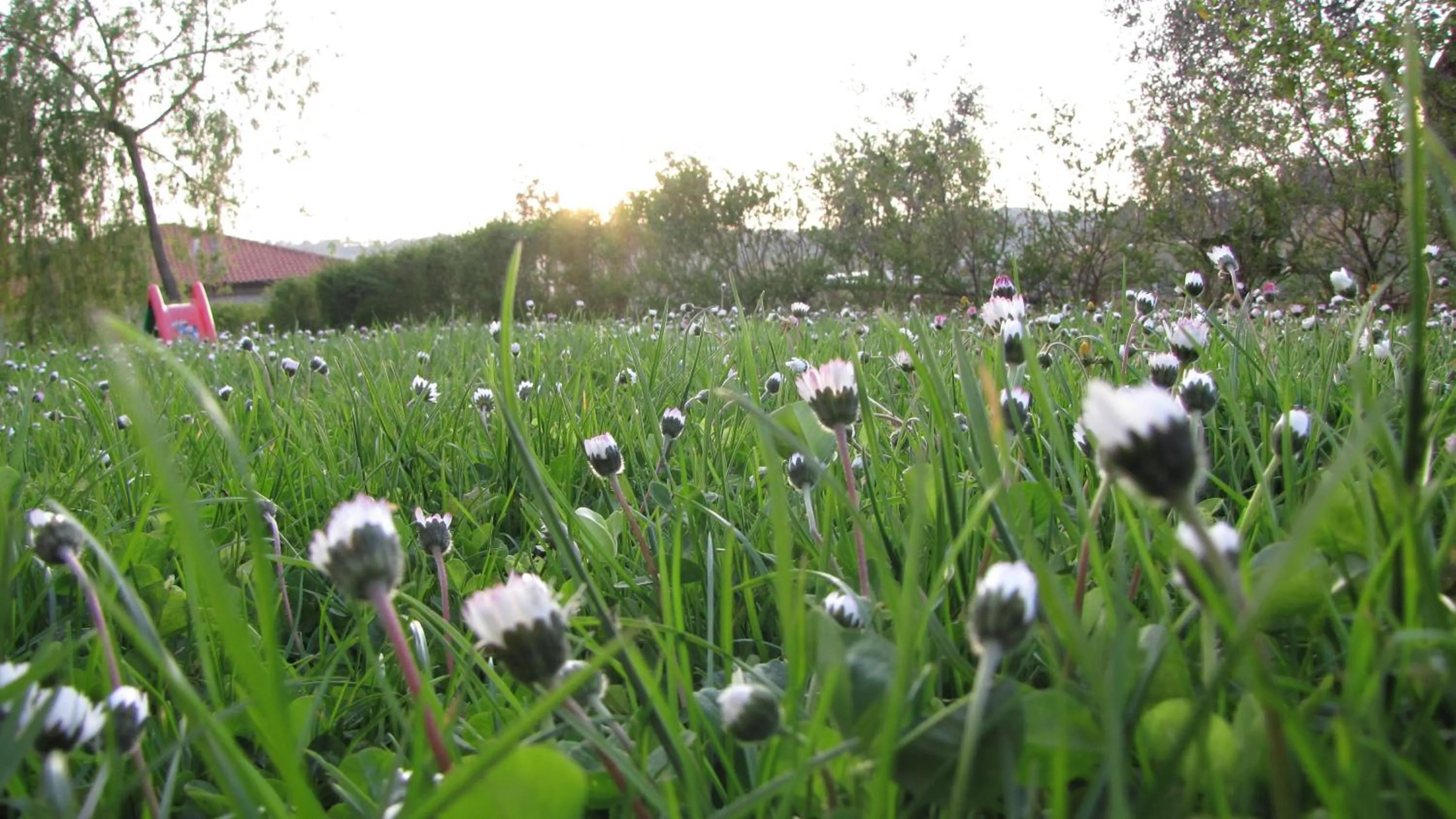 Bed and breakfast Aratro & Rosmarino