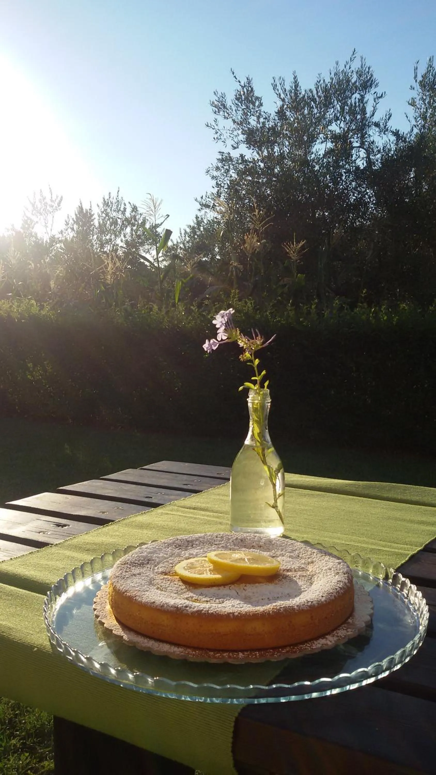 Bed and breakfast Aratro & Rosmarino