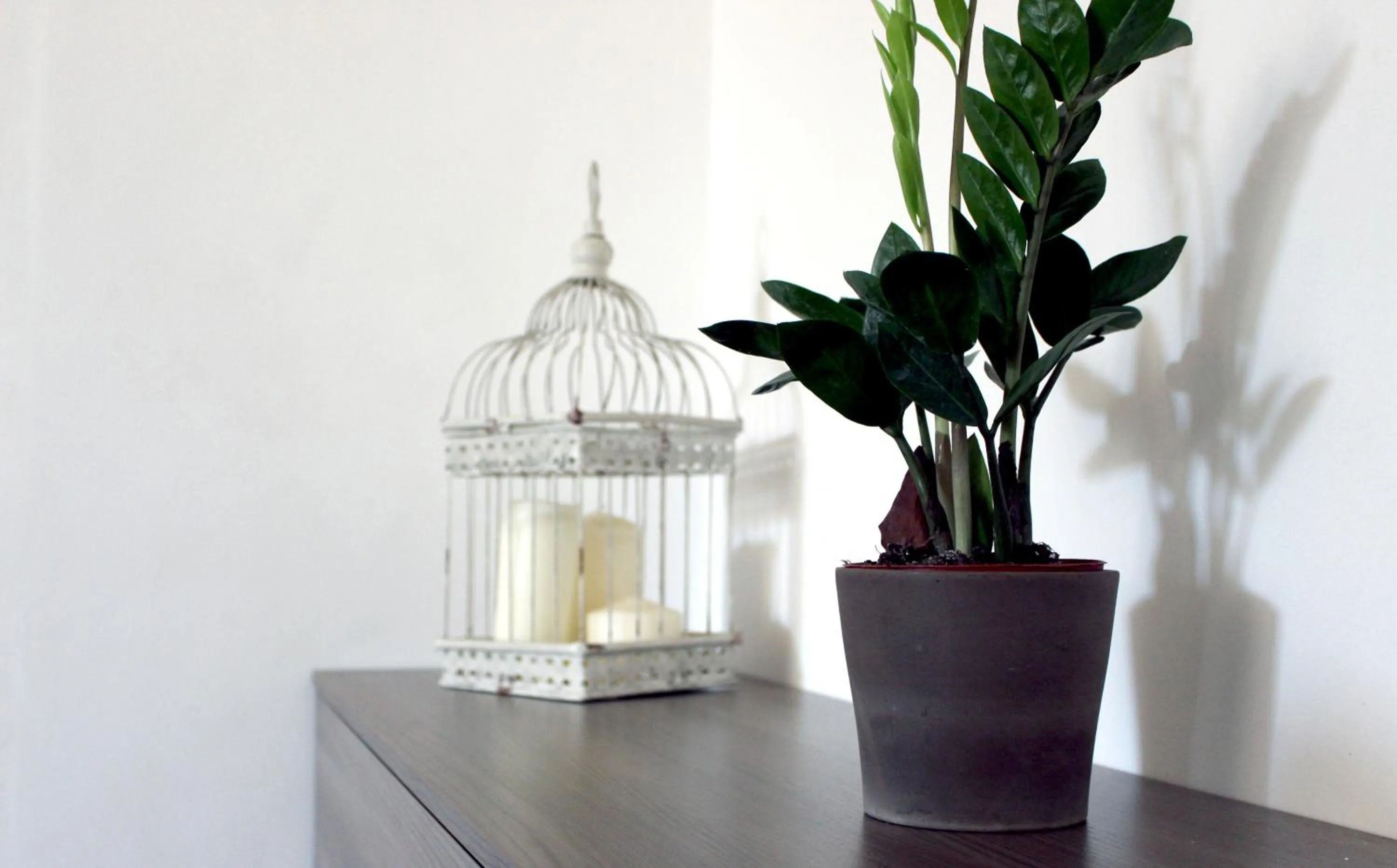 Decorative detail in Bed and breakfast Aratro & Rosmarino