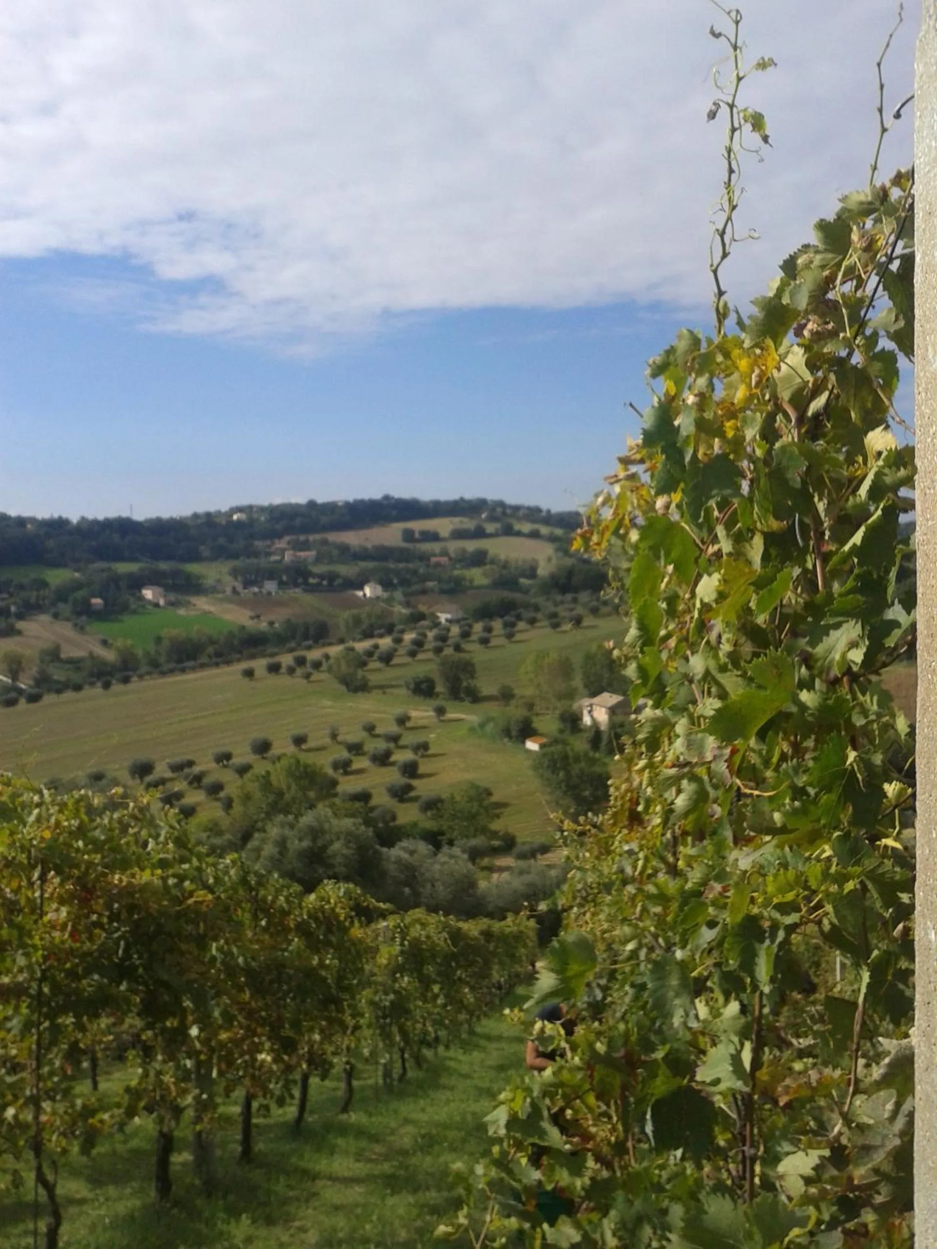 Bed and breakfast Aratro & Rosmarino