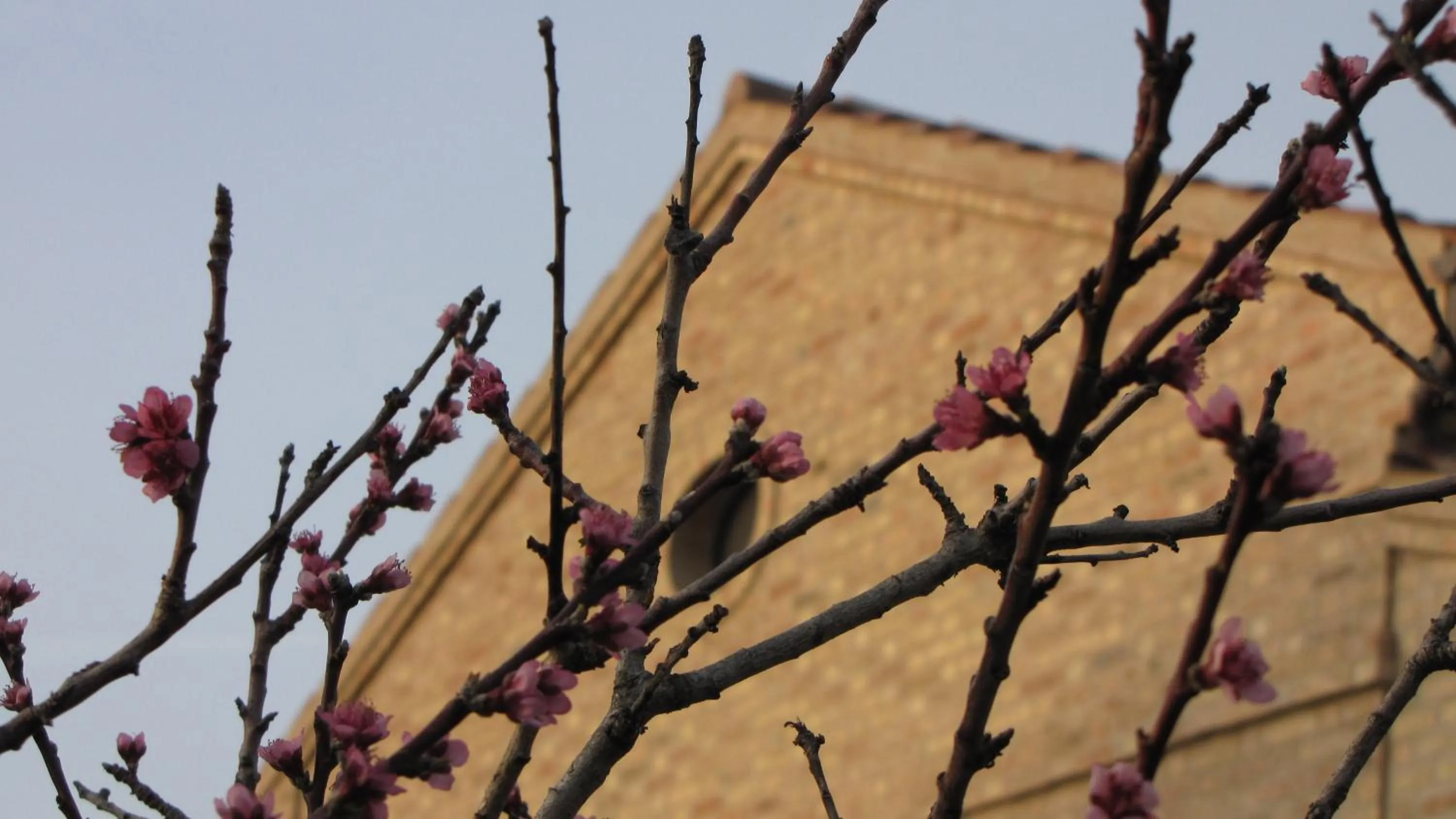 Bed and breakfast Aratro & Rosmarino