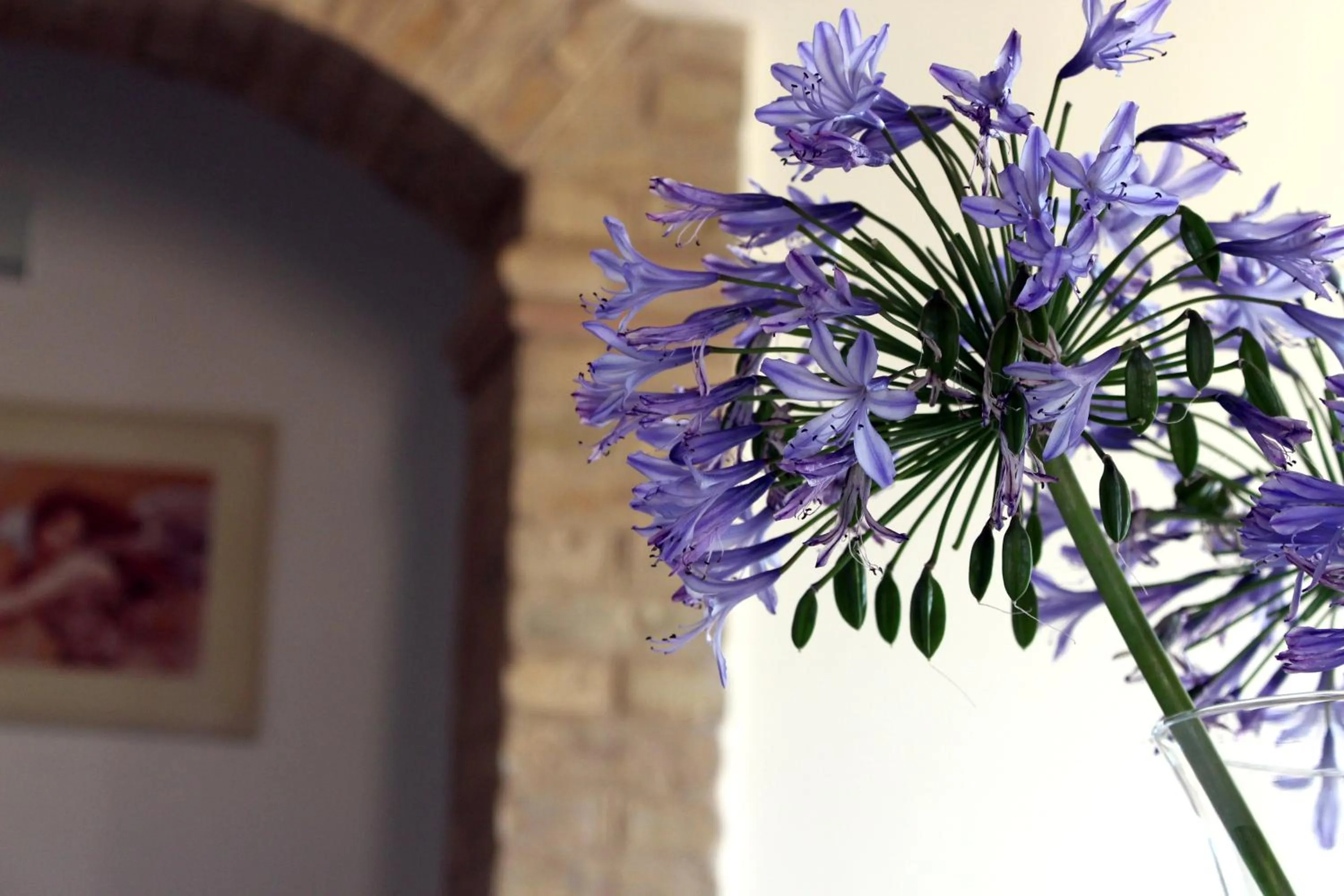 Decorative detail in Bed and breakfast Aratro & Rosmarino