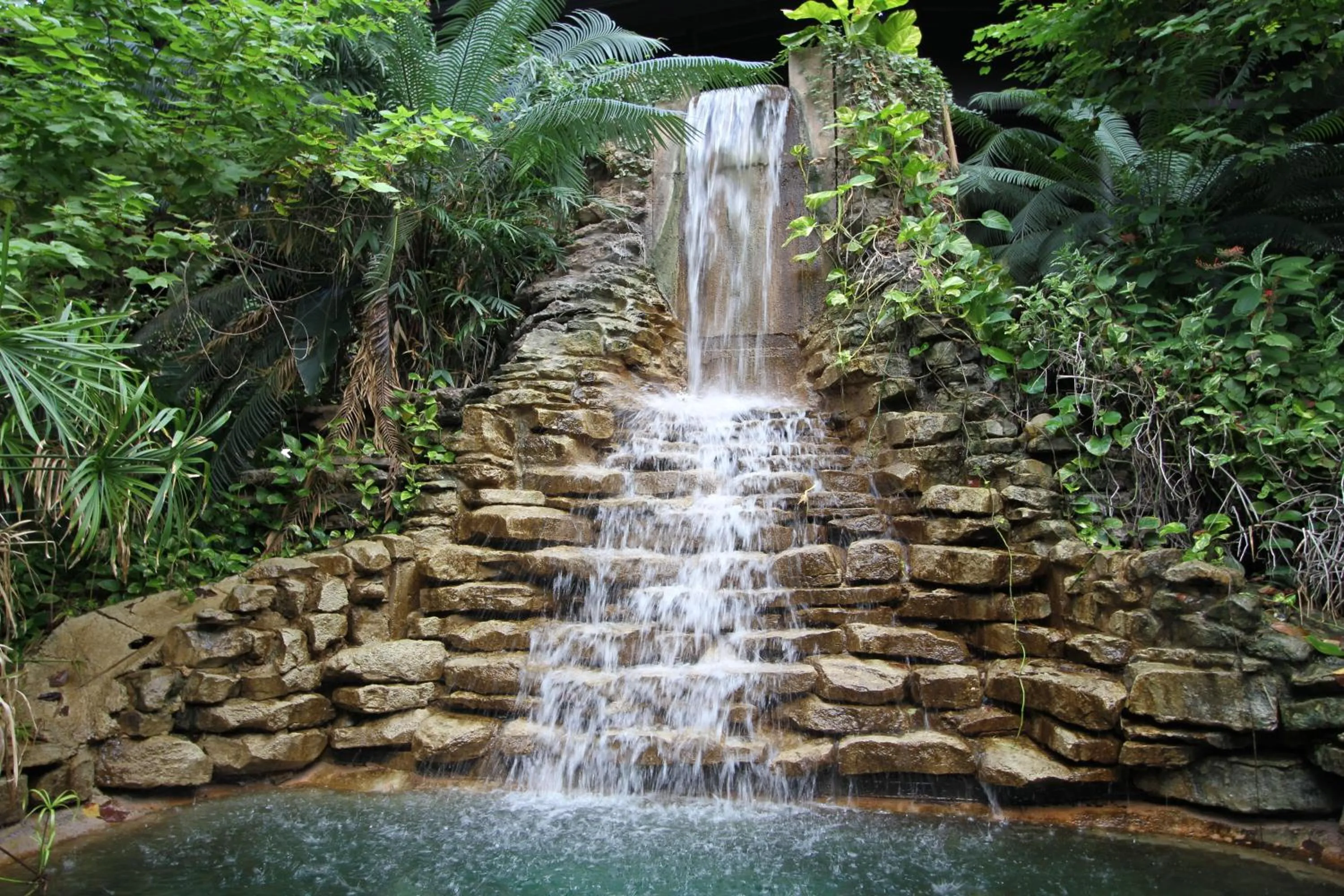 Natural landscape in Family Garden Inn & Suites