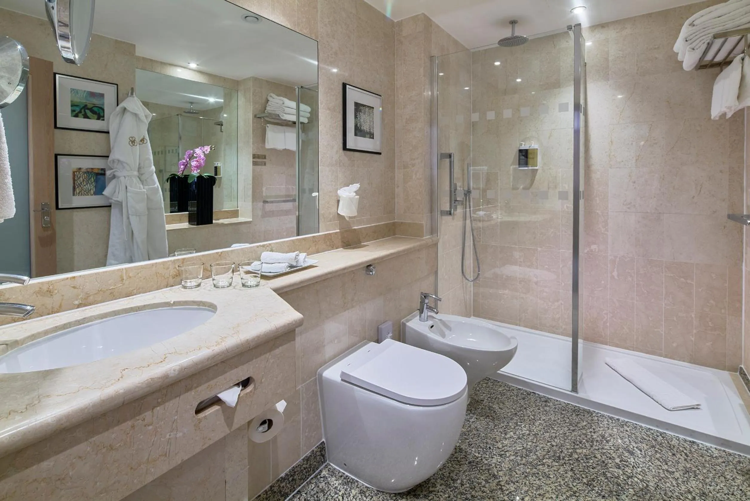 Shower in The Rembrandt