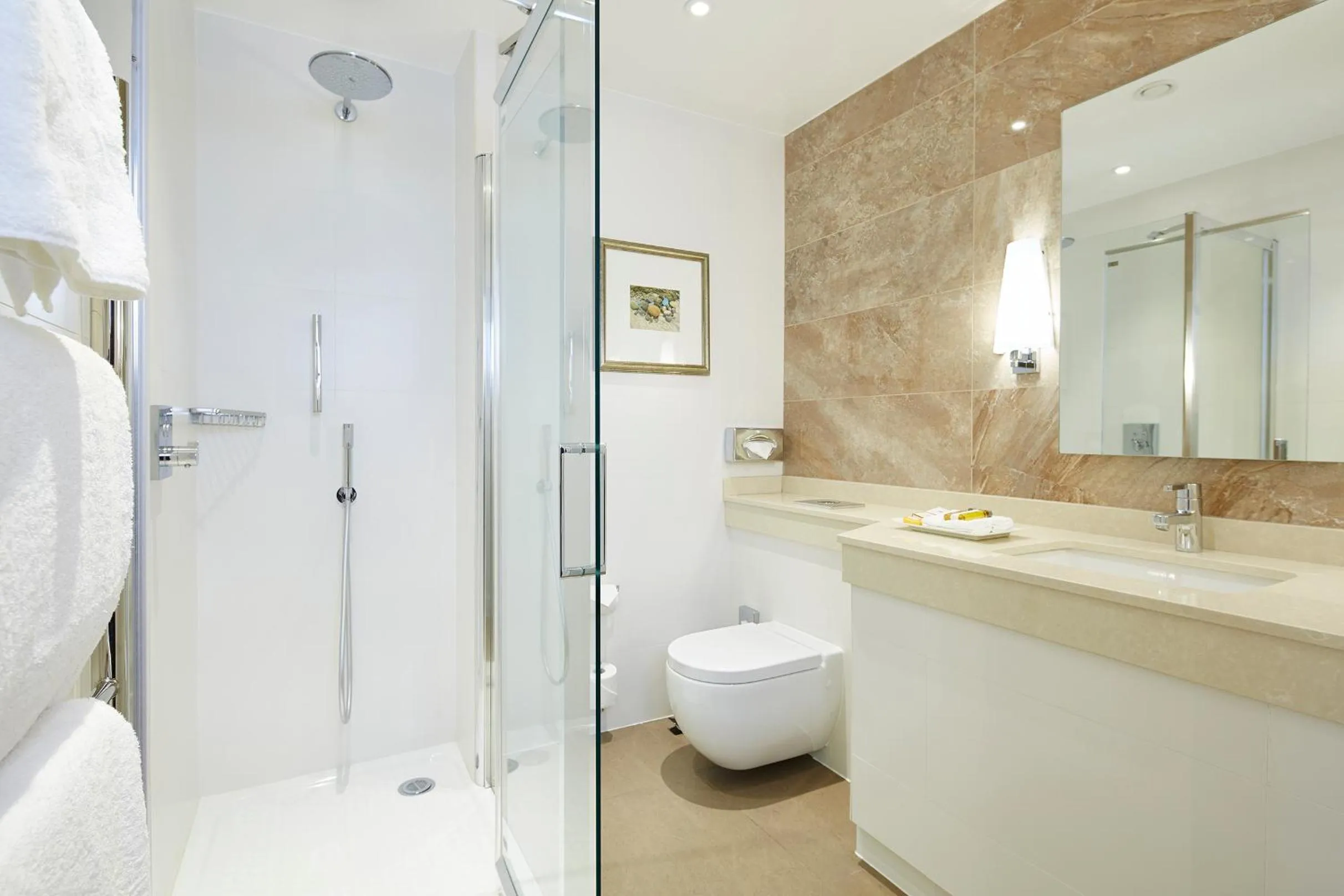 Shower in The Rembrandt