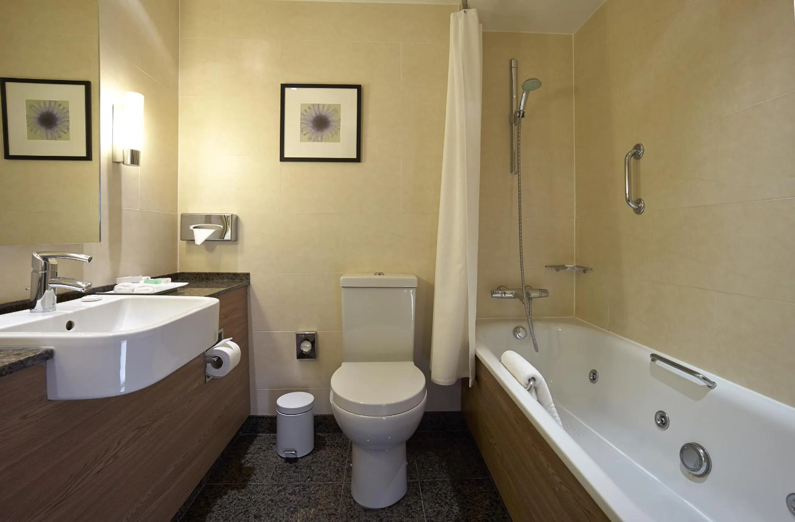 Toilet in The Rembrandt