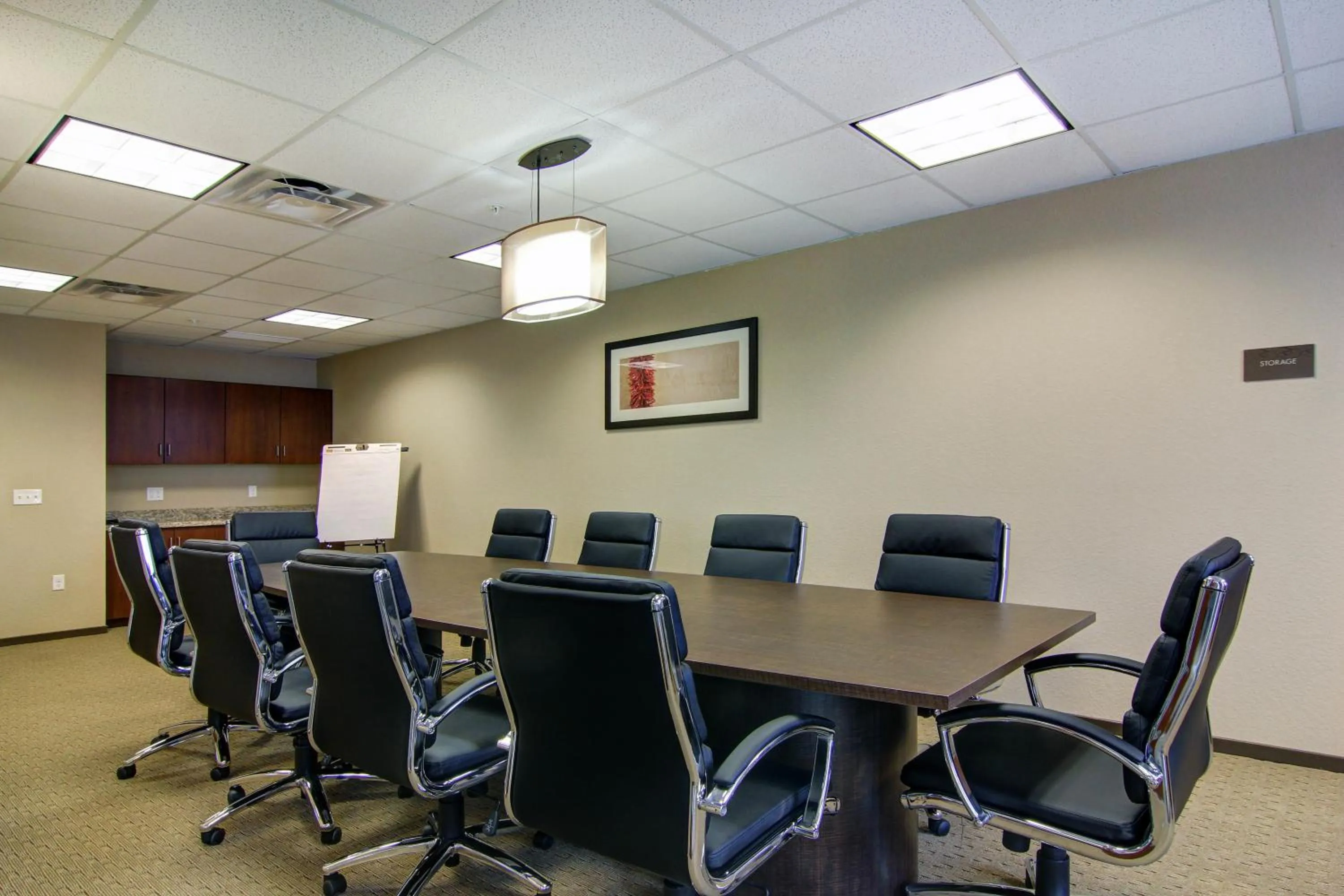 Business facilities in Comfort Suites Carlsbad