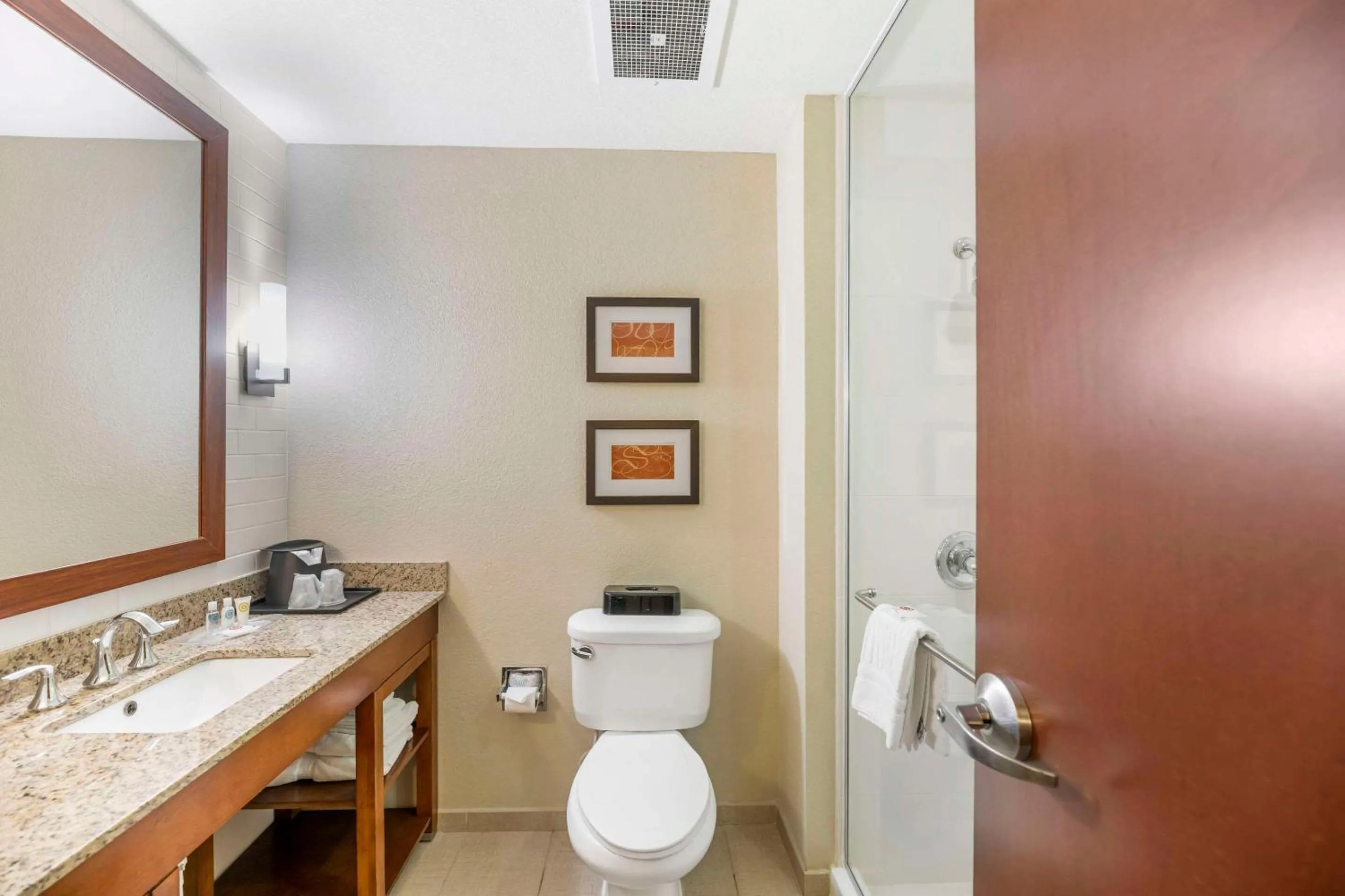 Bathroom in Comfort Suites Carlsbad