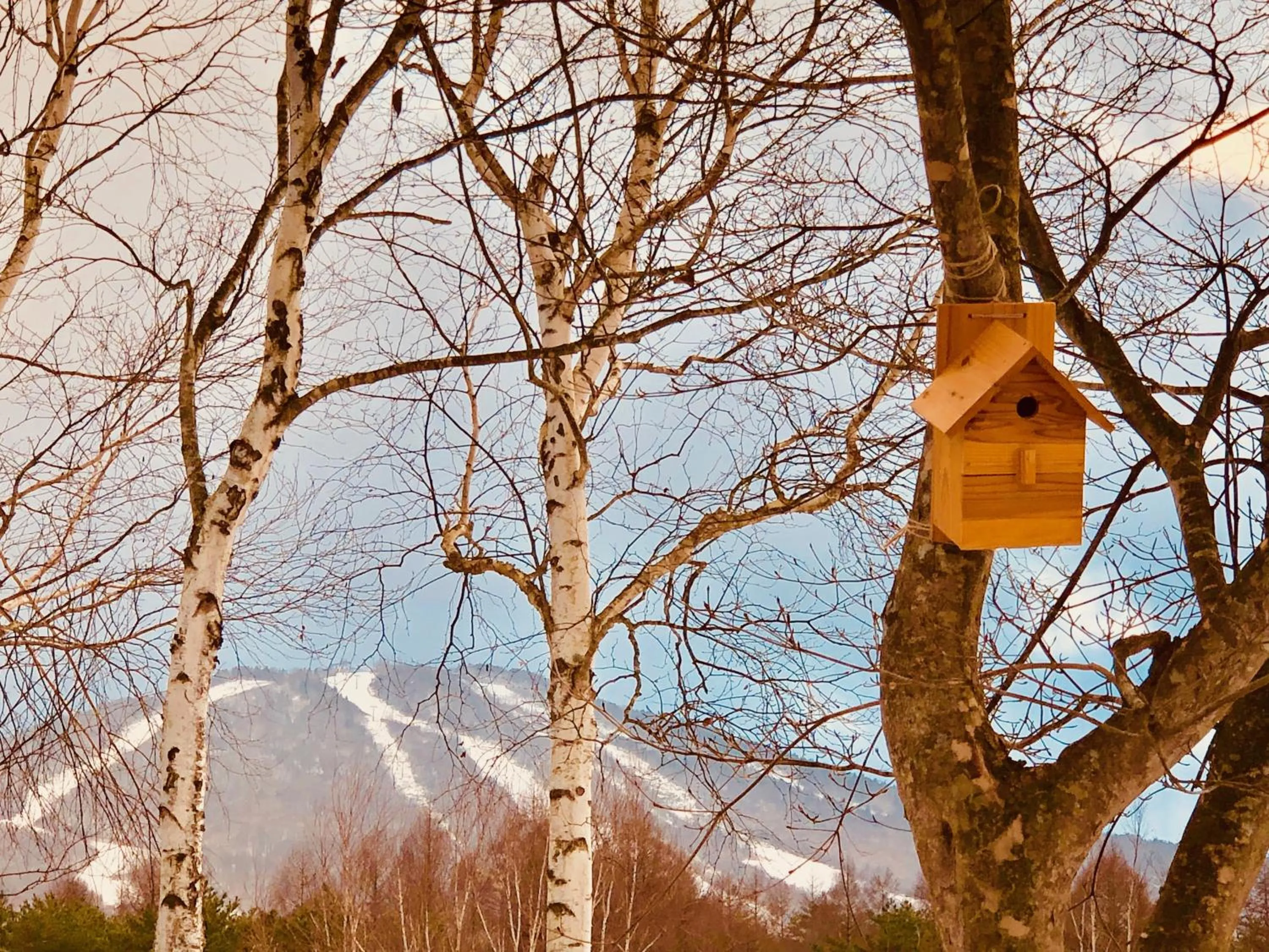 Skiing in Appi Life is Beautiful