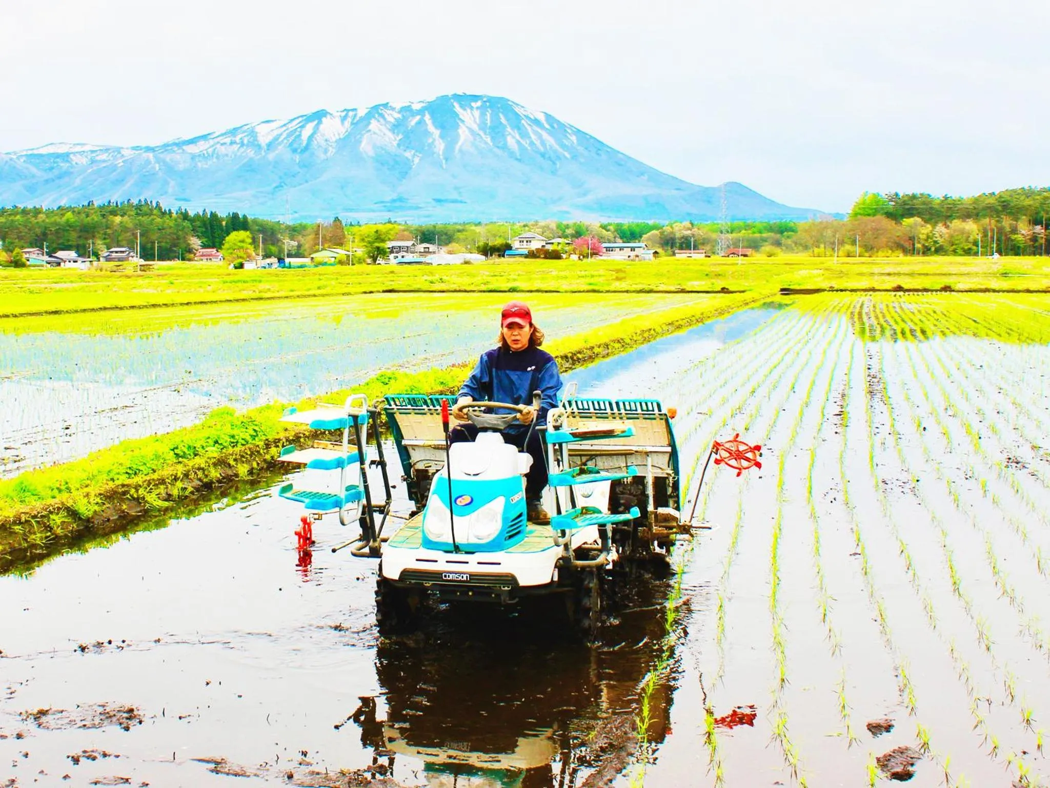 Other in Appi Life is Beautiful