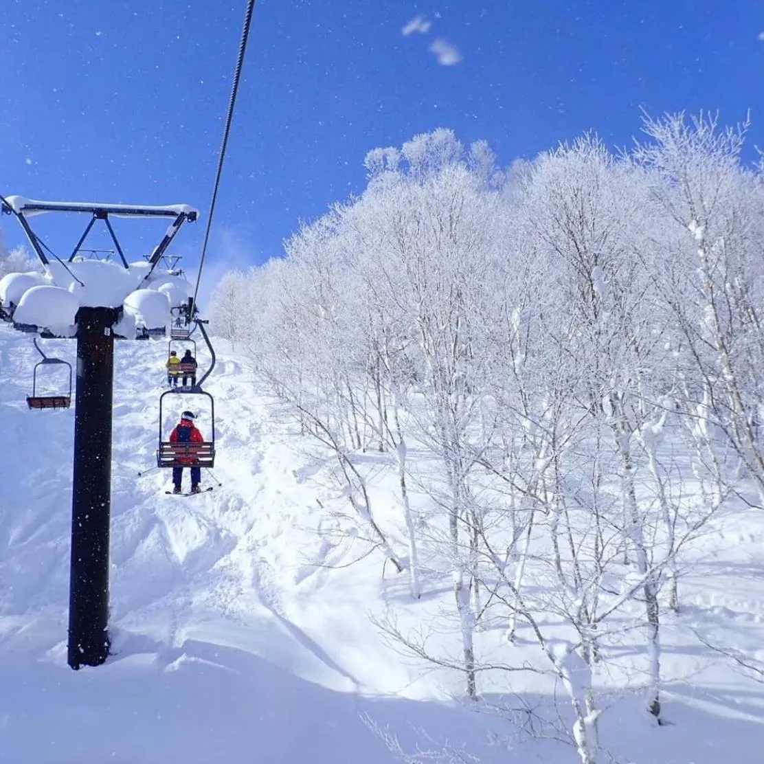 Appi Life is Beautiful