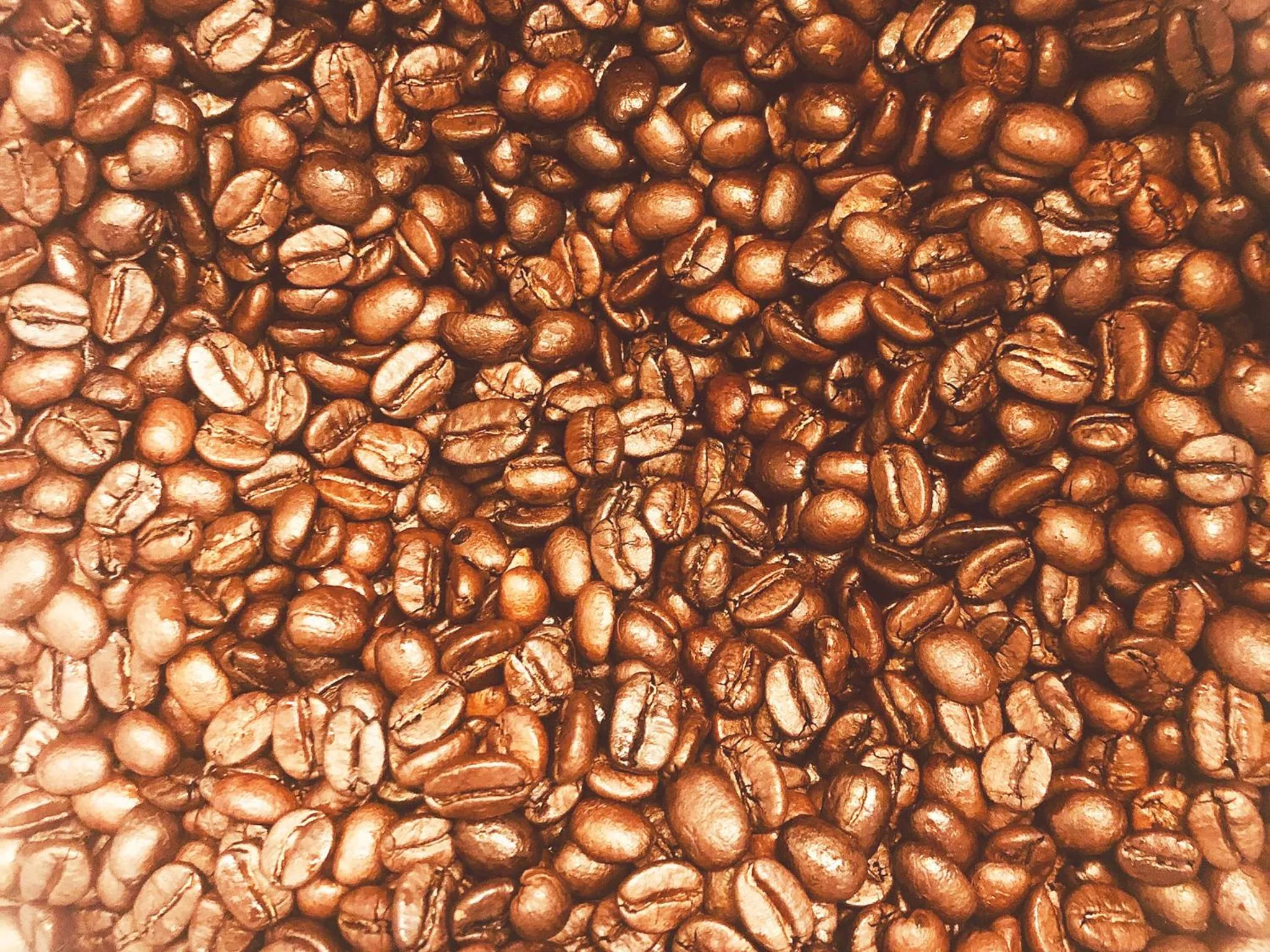 Food and drinks in Appi Life is Beautiful