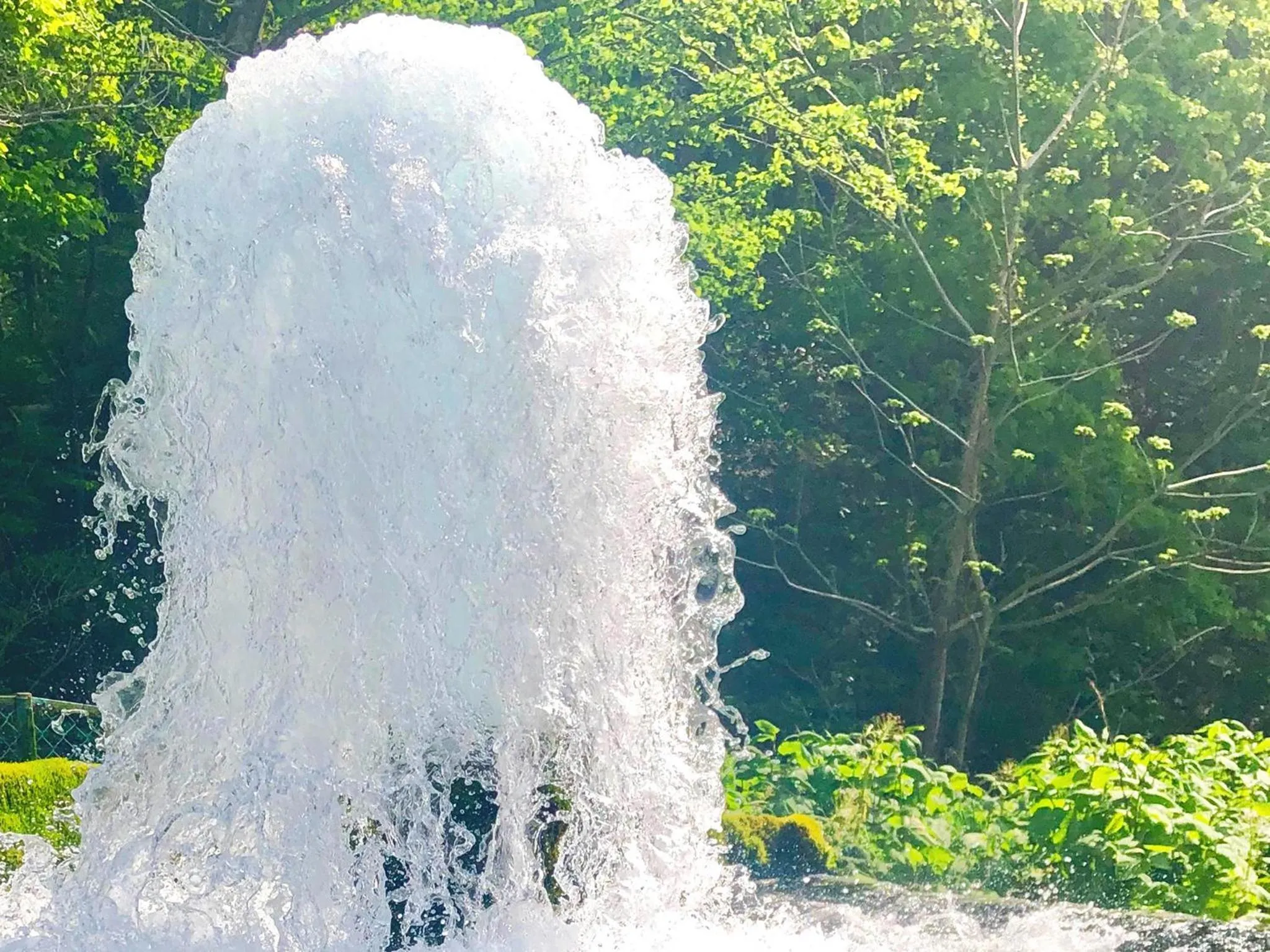 Summer in Appi Life is Beautiful