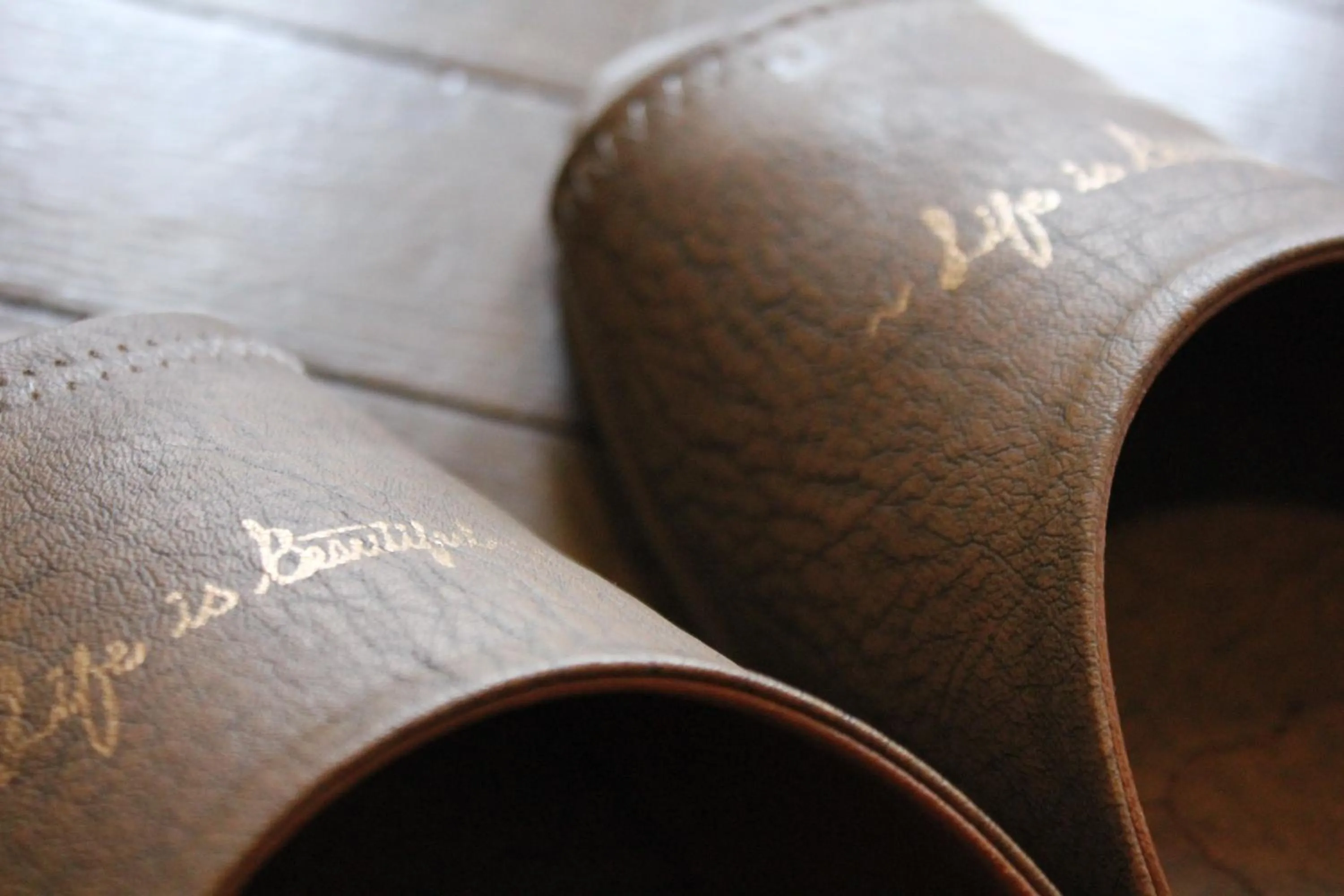 Property logo or sign in Appi Life is Beautiful