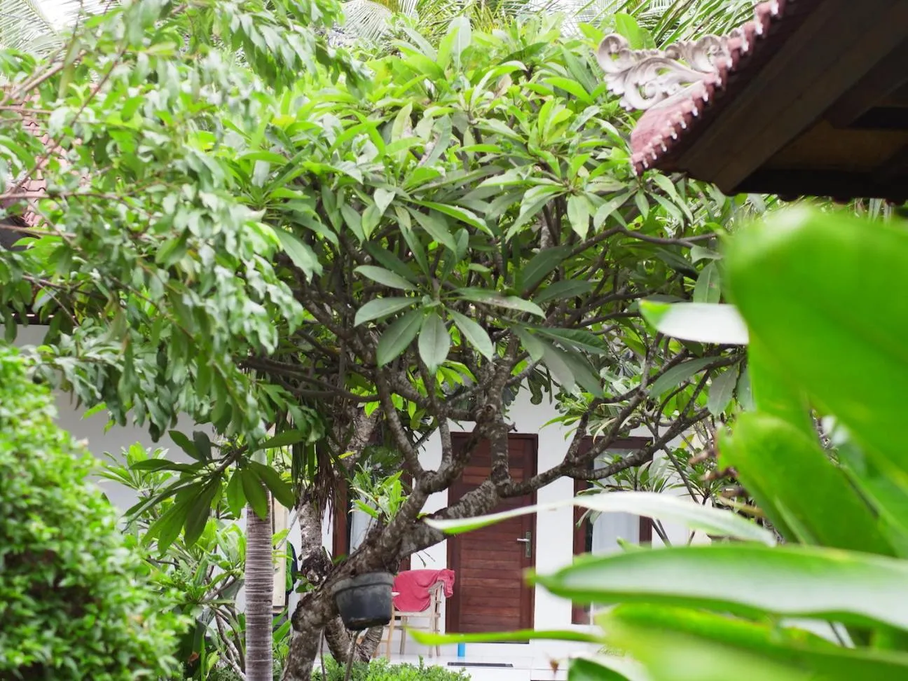 Garden in Nyoman Guesthouse and Grill