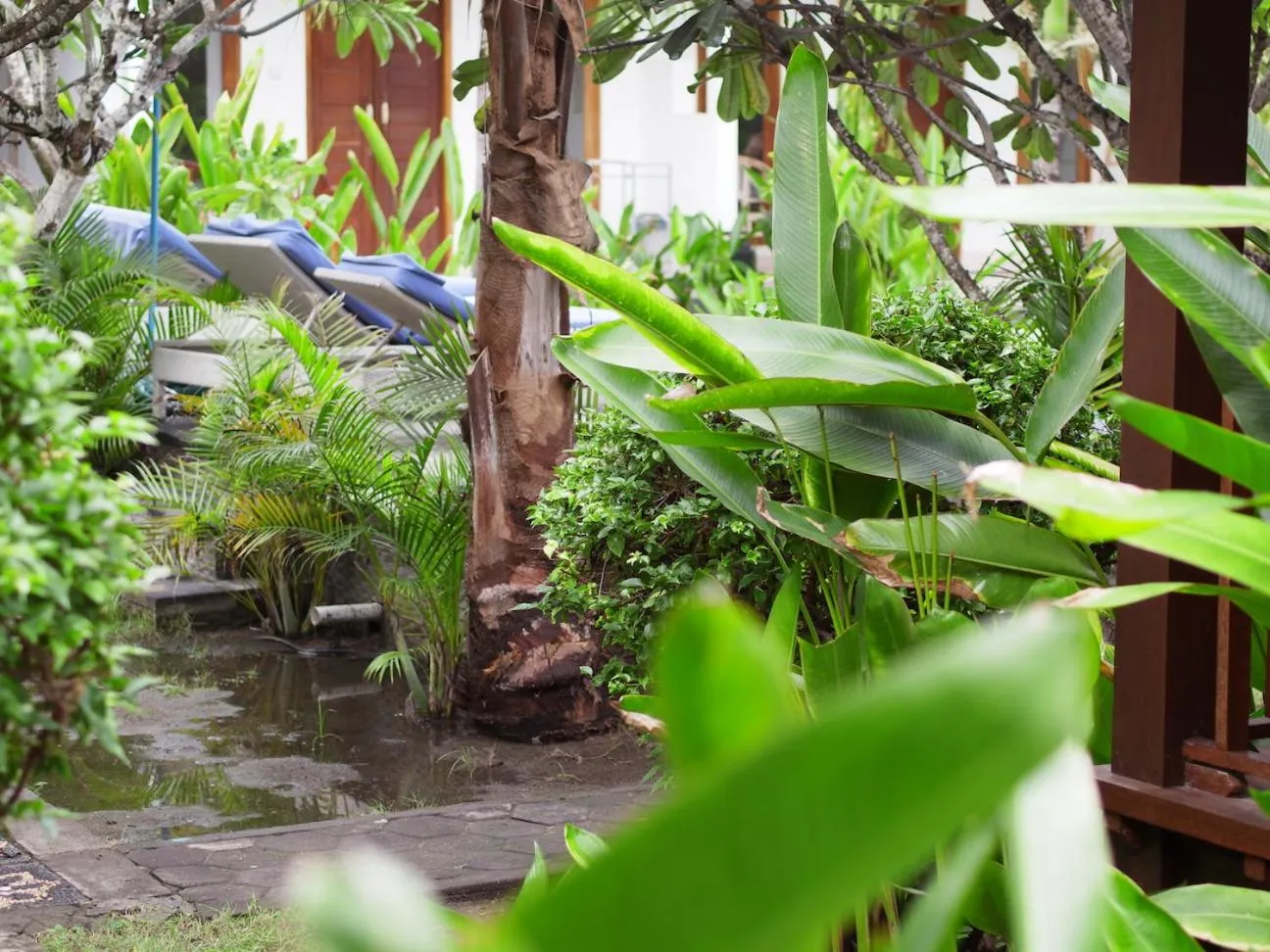 Garden in Nyoman Guesthouse and Grill