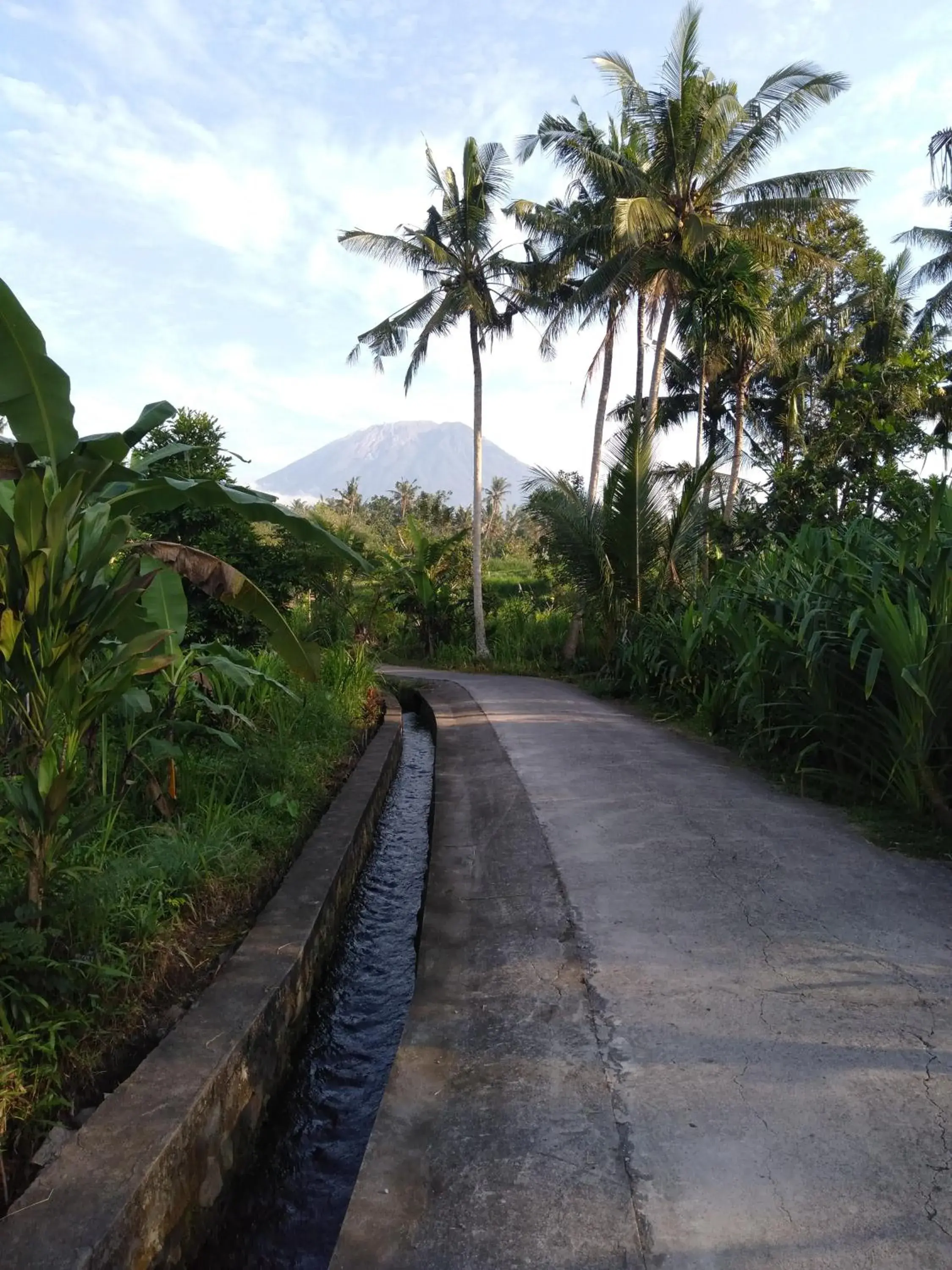 Deluxe Double or Twin Room - single occupancy in Pondok Alam Bukit Deluxe Double or Twin Room - single occupancy in Pondok Alam Bukit