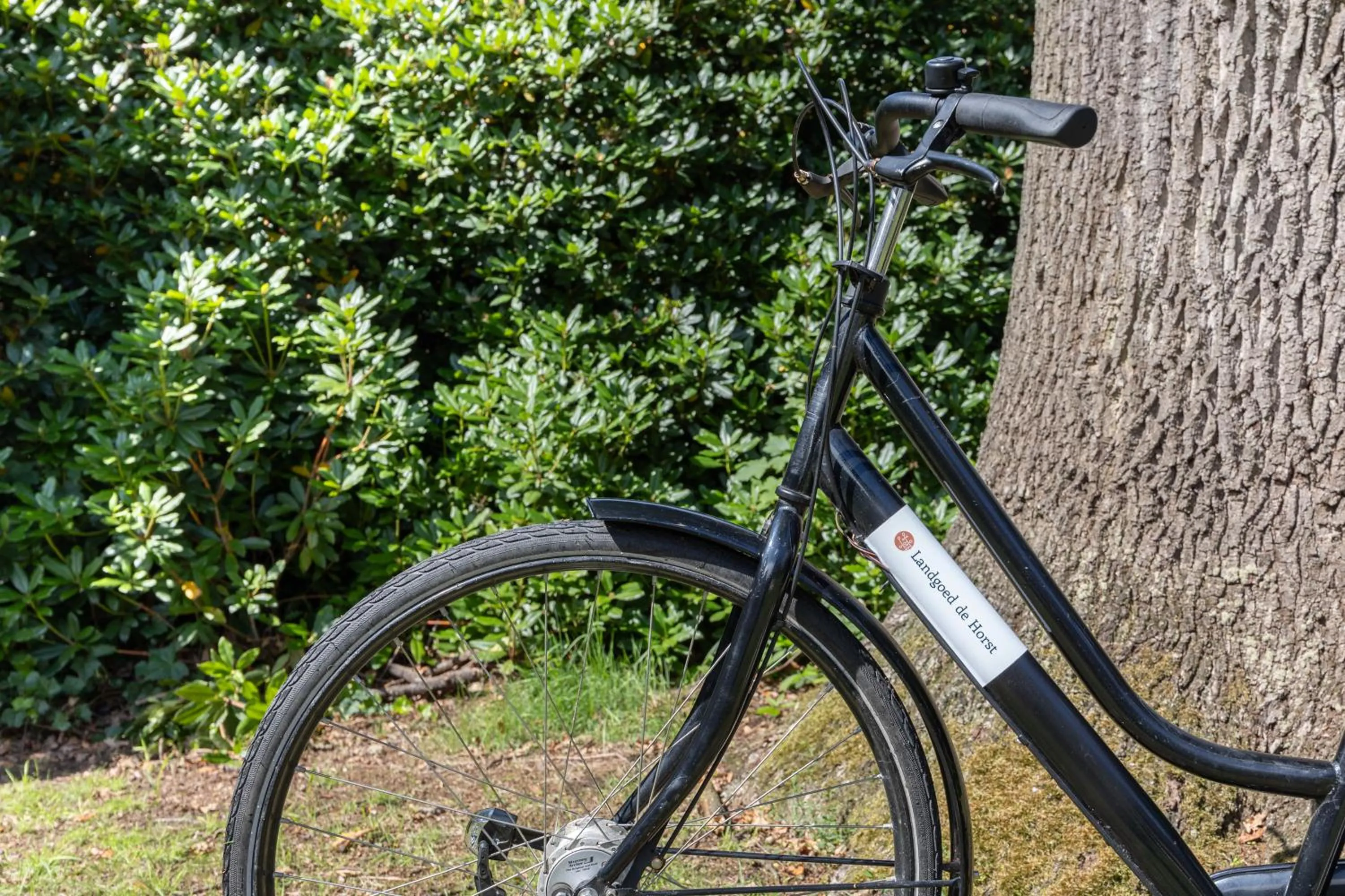 Cycling in Landgoed de Horst