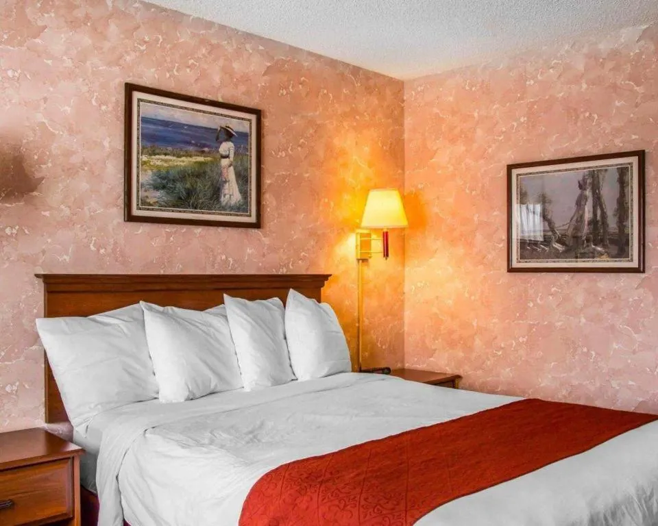 Bed in Econo Lodge Longmont East