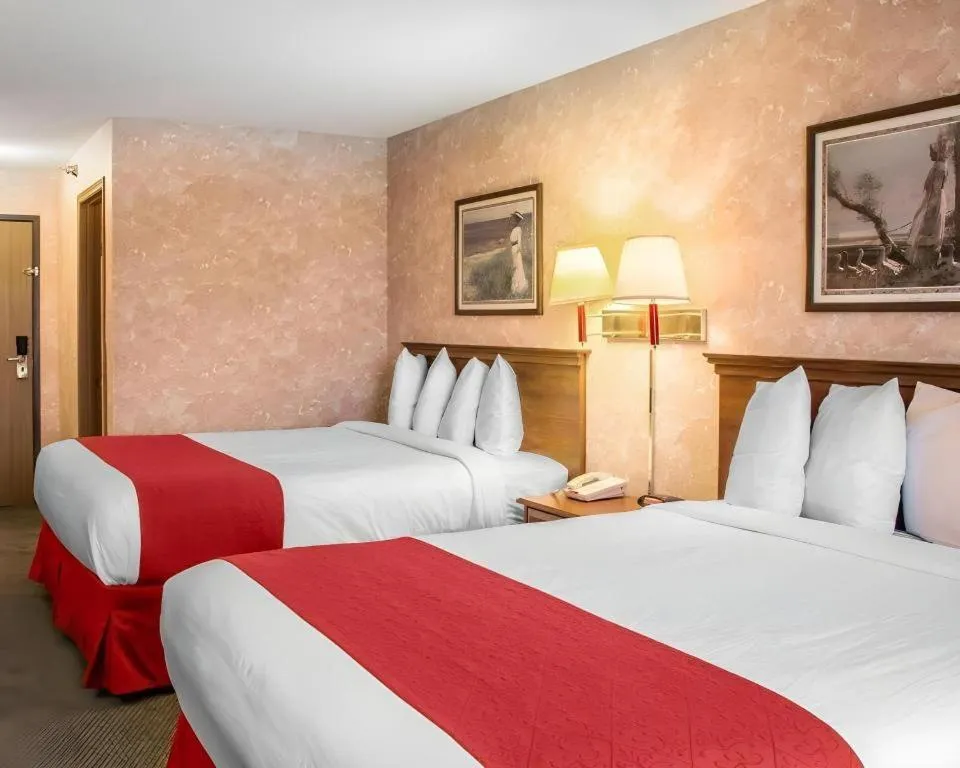 Bed in Econo Lodge Longmont East