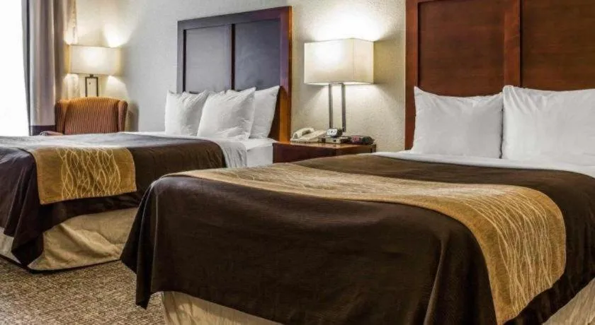 Bed in Comfort Inn & Suites