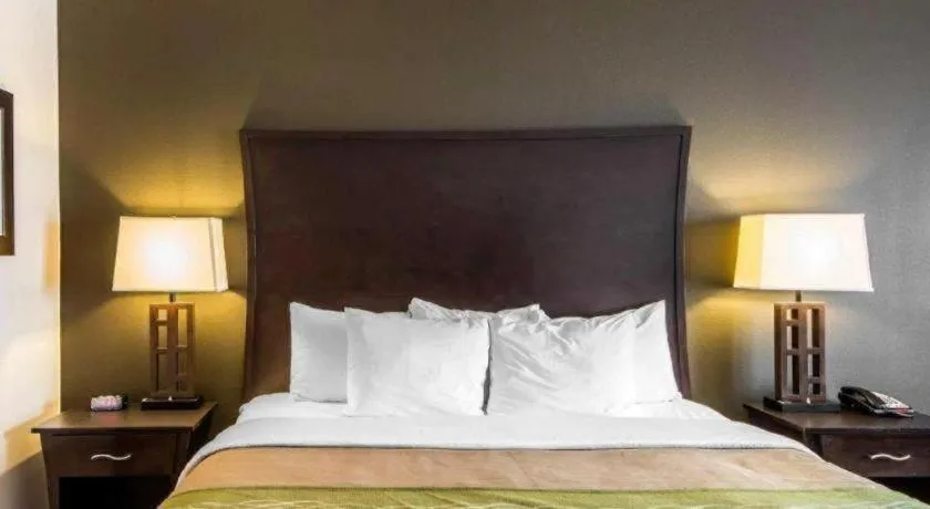 Bed in Comfort Inn & Suites Alva