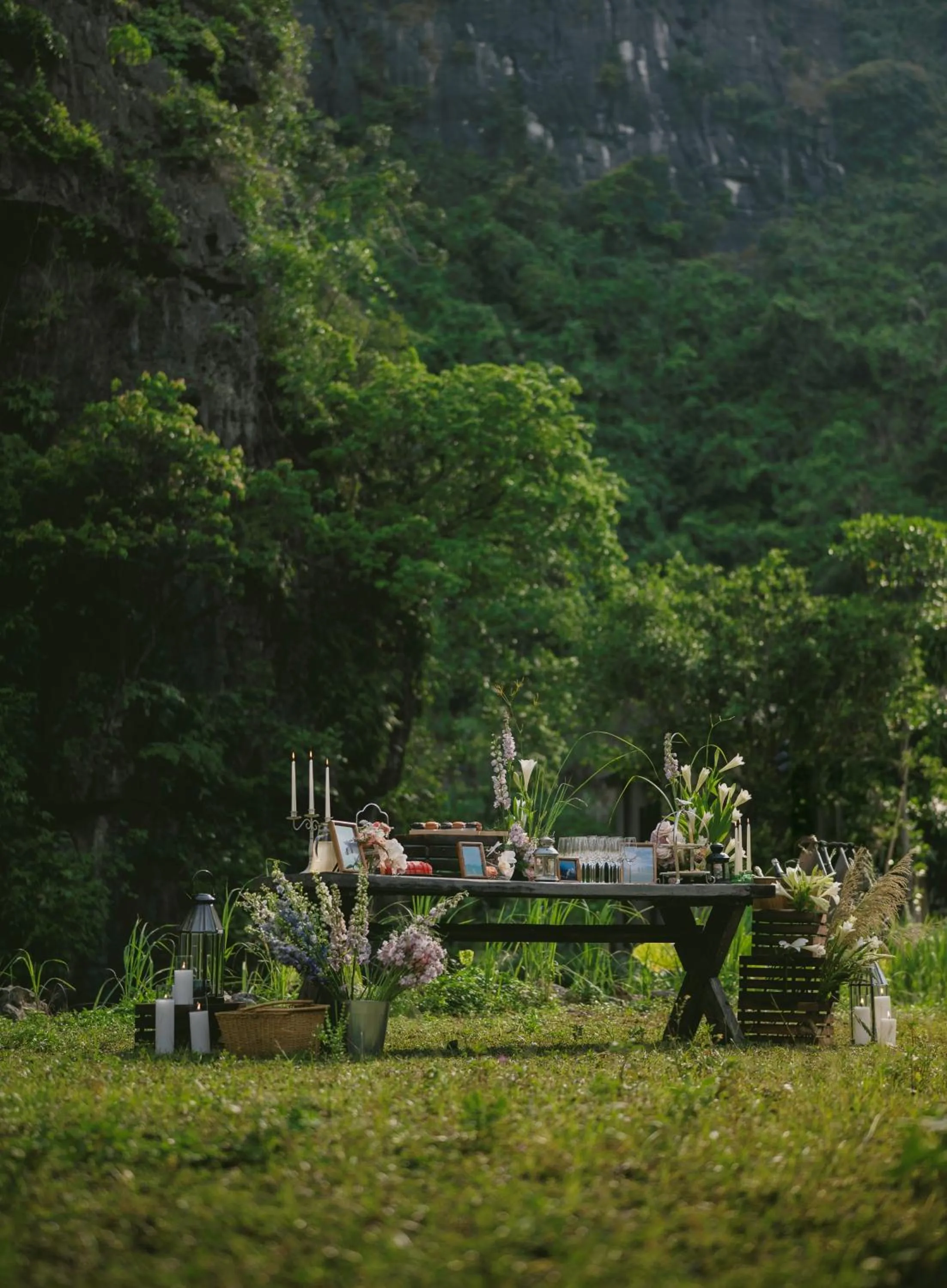 Spring in Jiva Hoa Lu Retreat