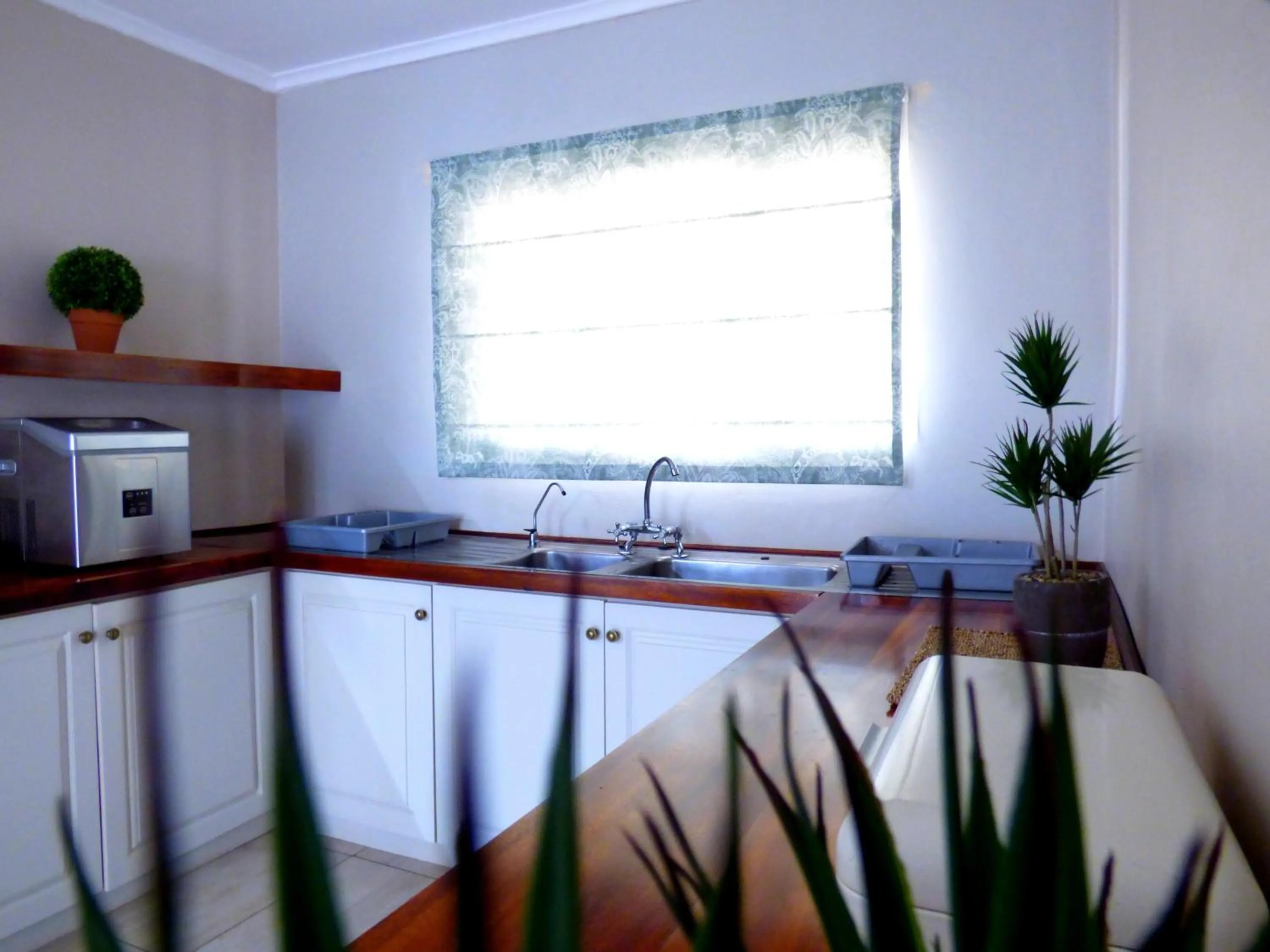 Kitchen or kitchenette in The Ranch House at African Safari Lodge